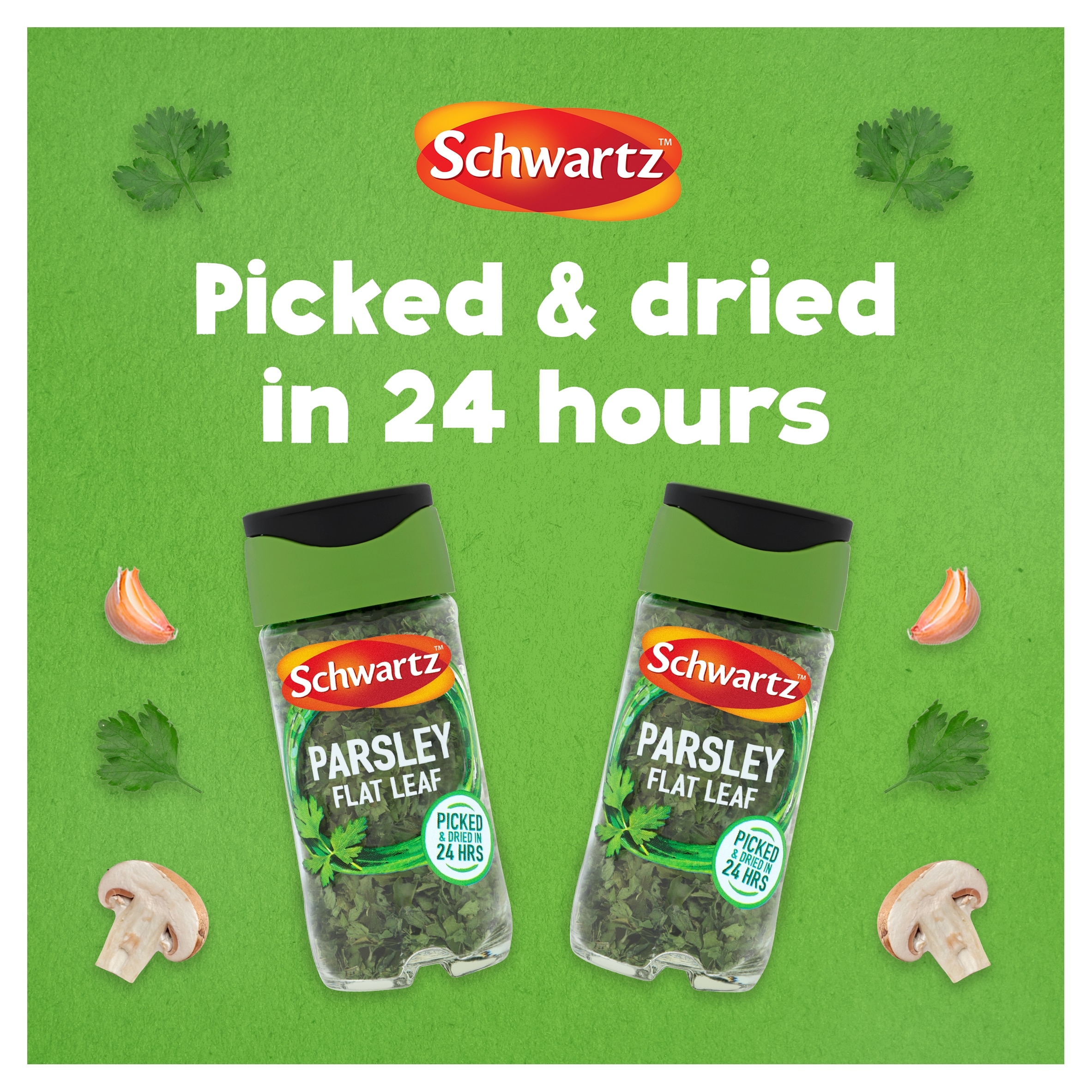 Schwartz Flat Leaf Parsley 3g thumbnail 4