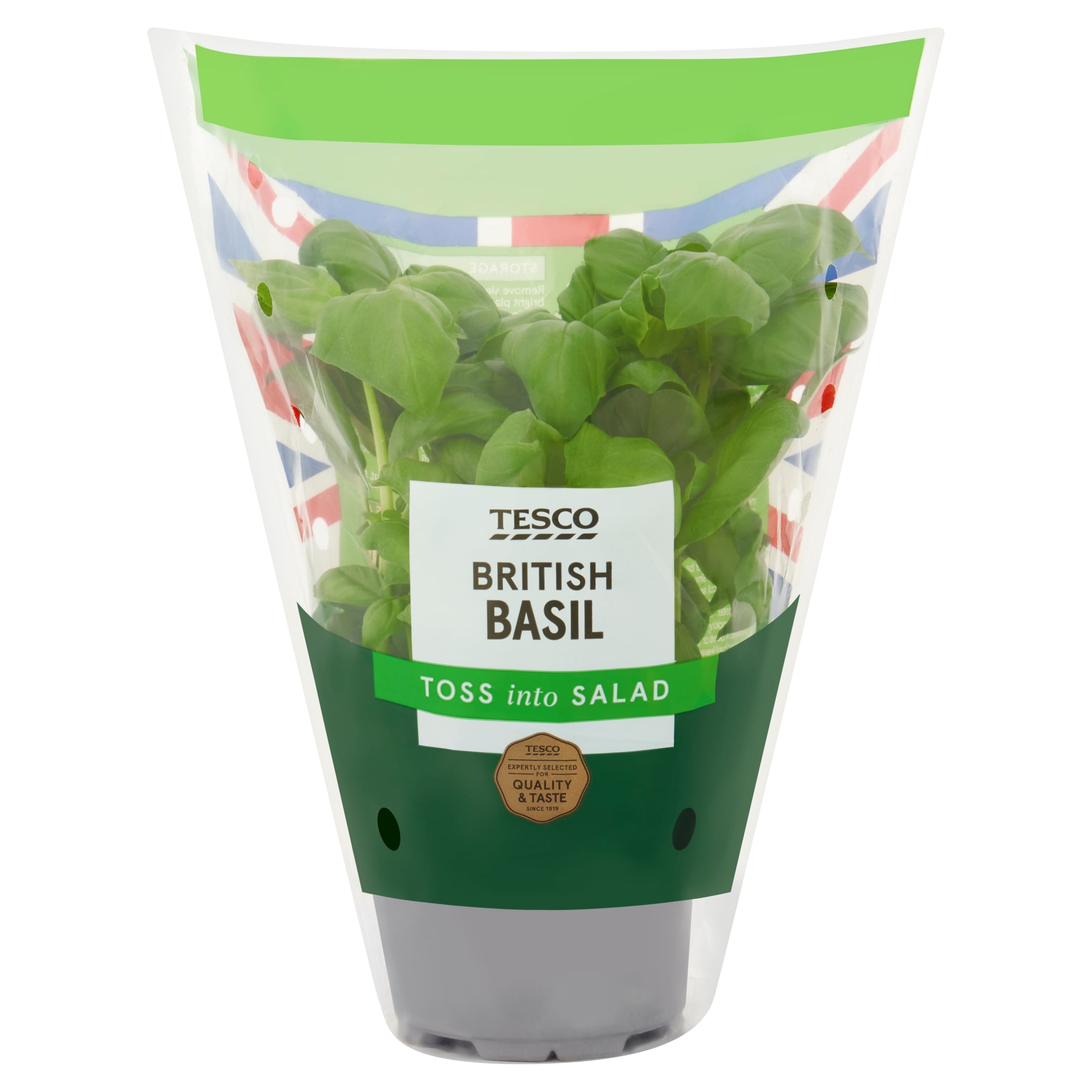 Tesco Basil Medium Pot