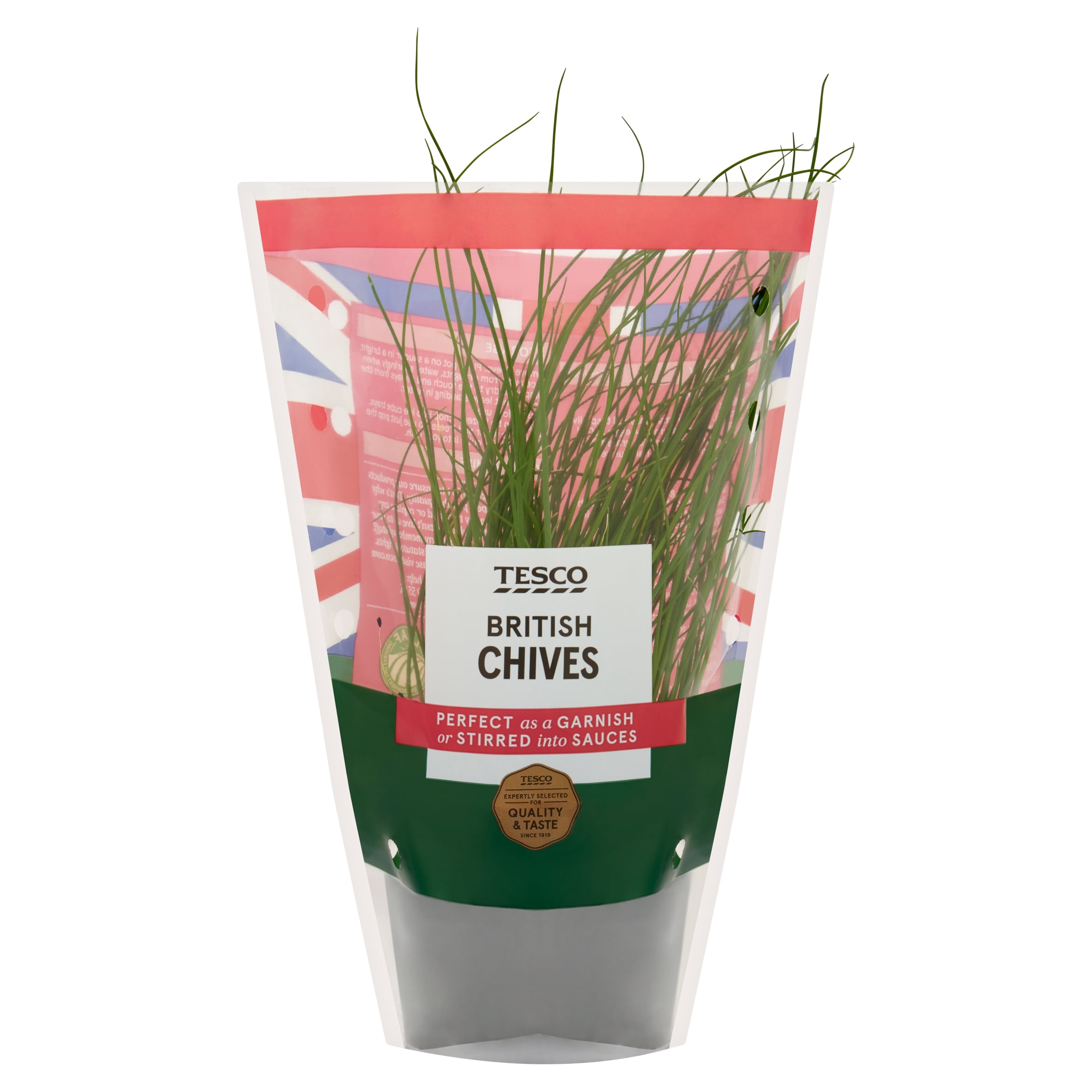 Tesco Bulb Chives Medium Pot