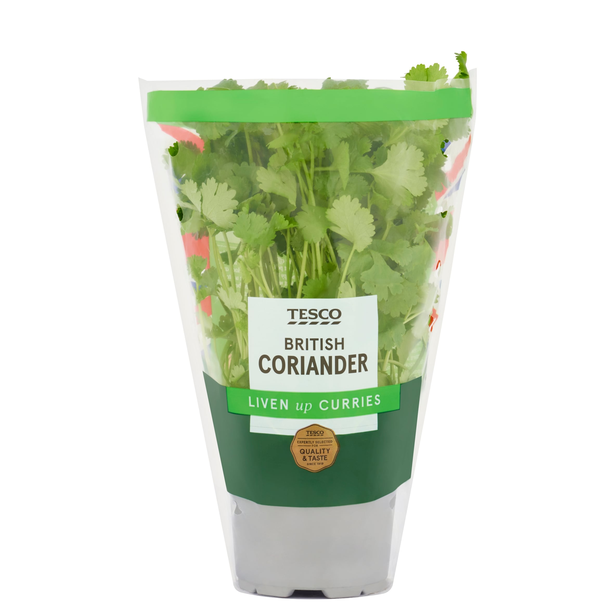 Tesco Coriander Medium Pot