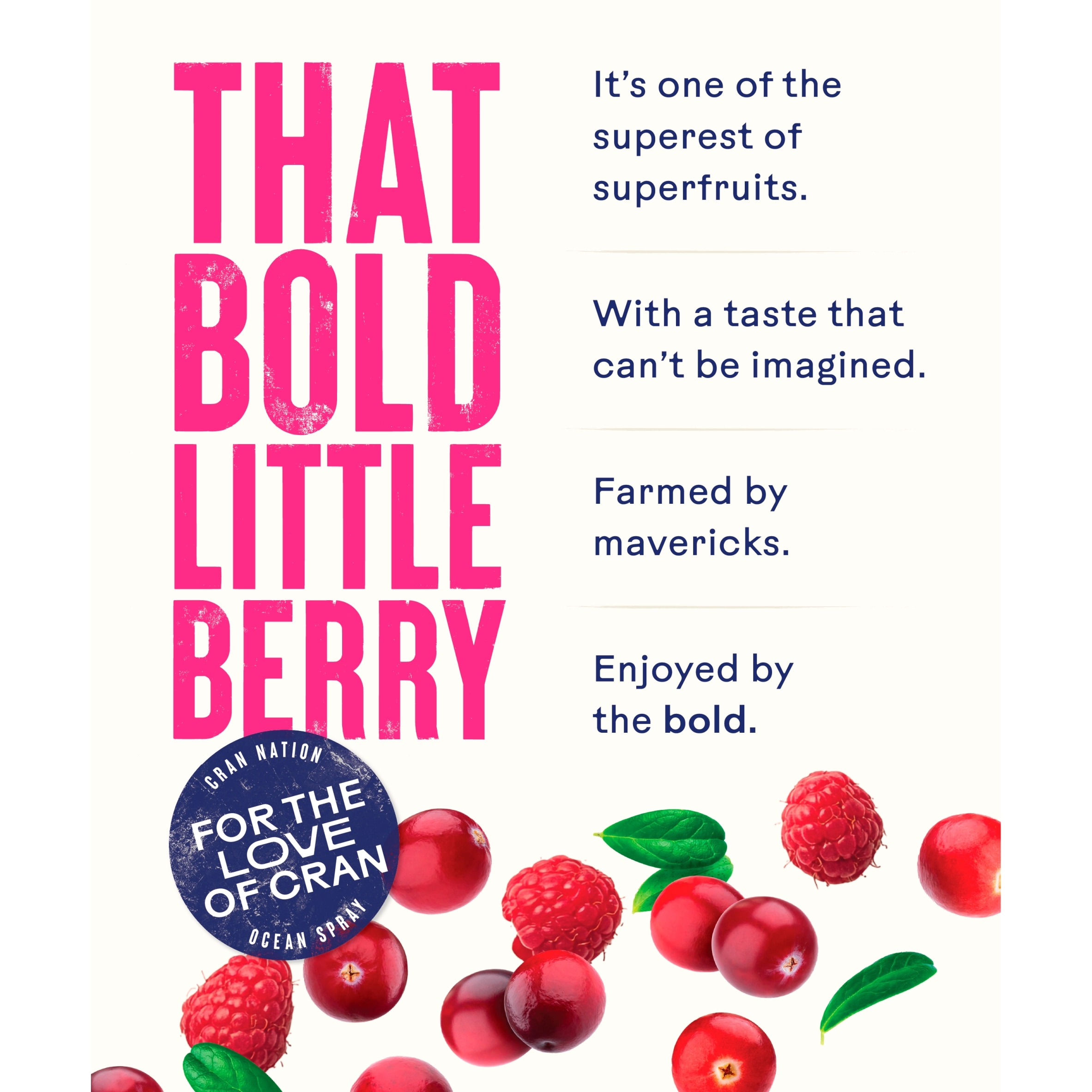 Ocean Spray Cranberry & Raspberry Juice Drink 1 Litre thumbnail 5