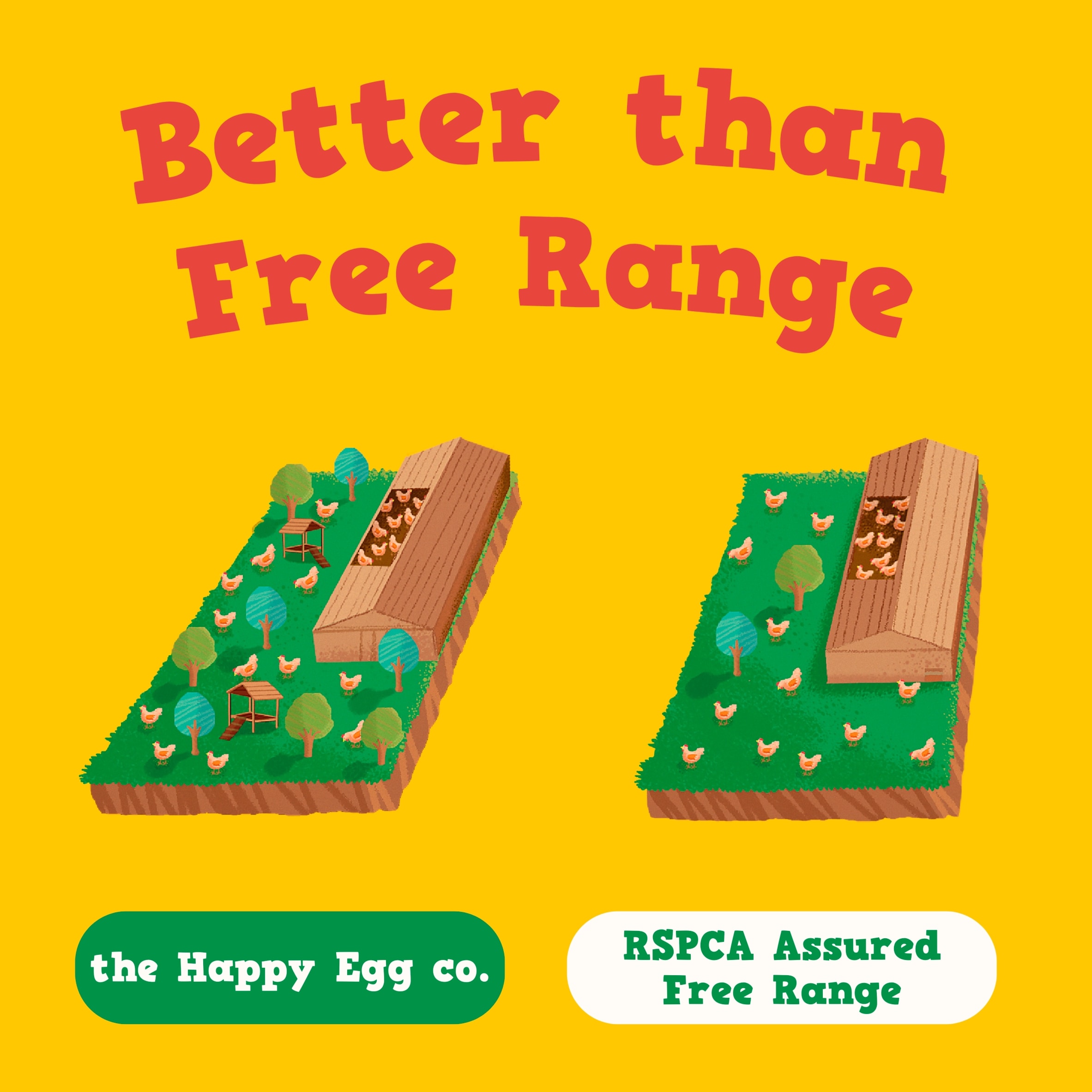Happy Egg Free Range Eggs Large 6 Pack thumbnail 2