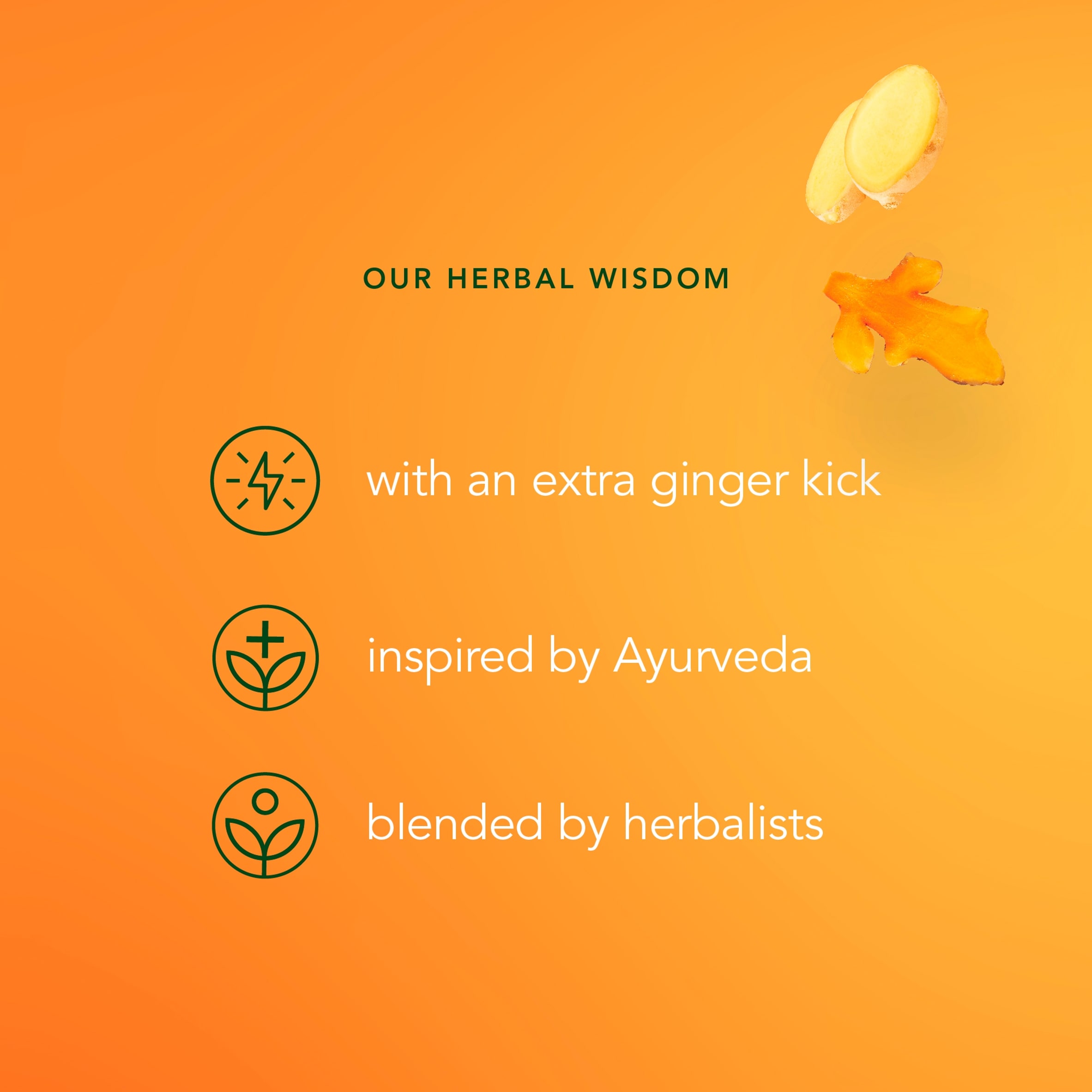 Pukka Organic Three Ginger Tea 20 Herbal Tea Bags 36g thumbnail 5