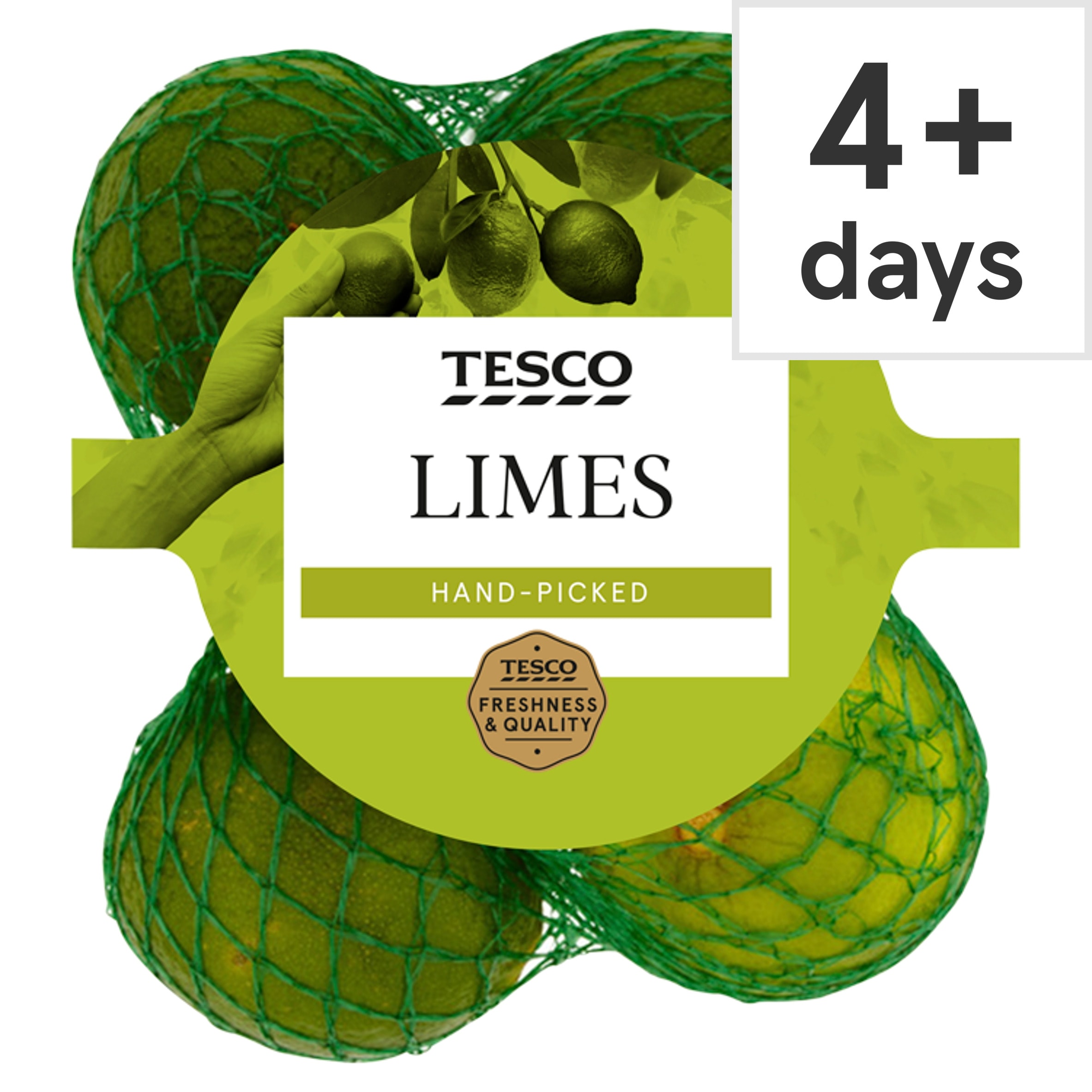 Tesco Limes Minimum 5 Pack