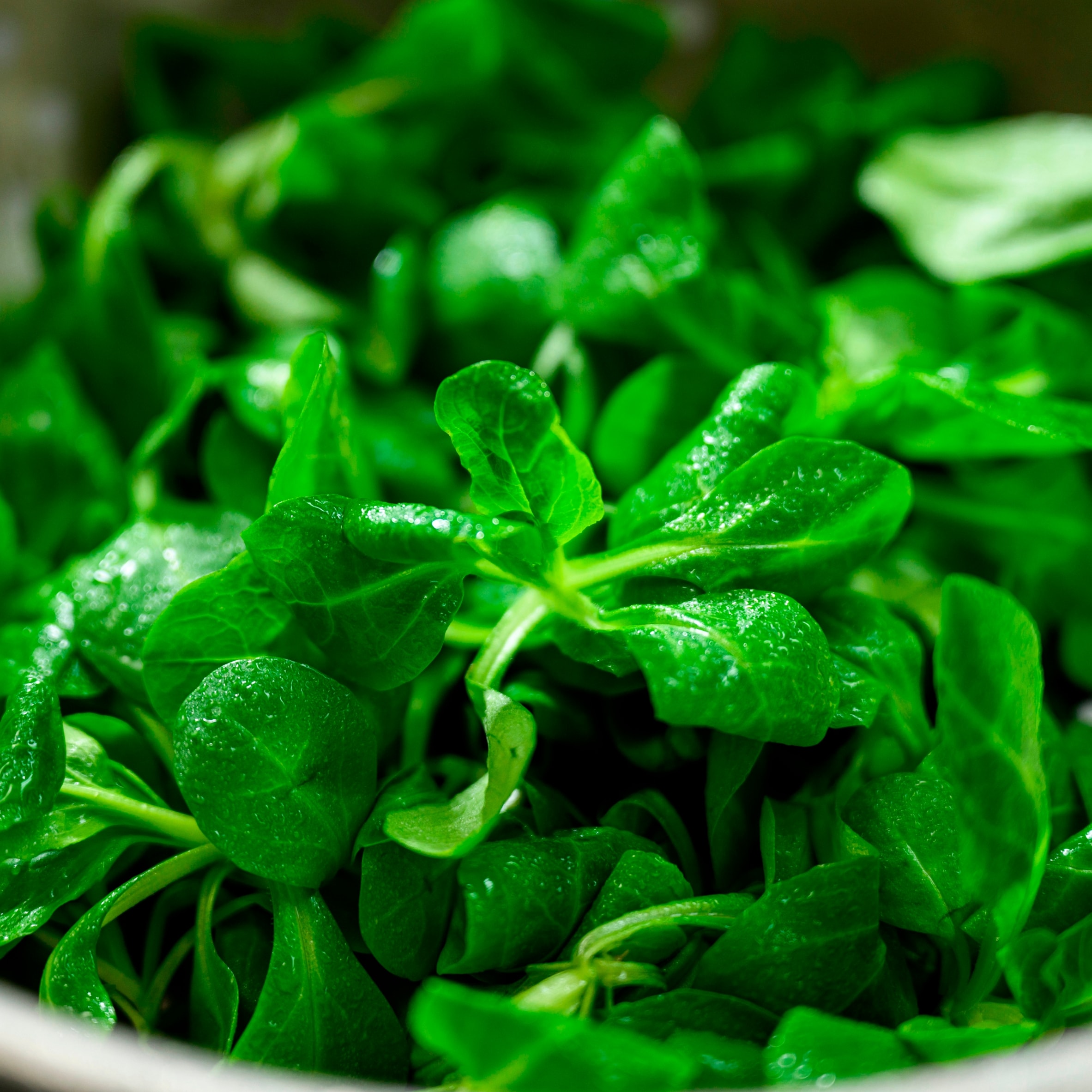 Fresh & Naked Just Lambs Lettuce 60G thumbnail 2