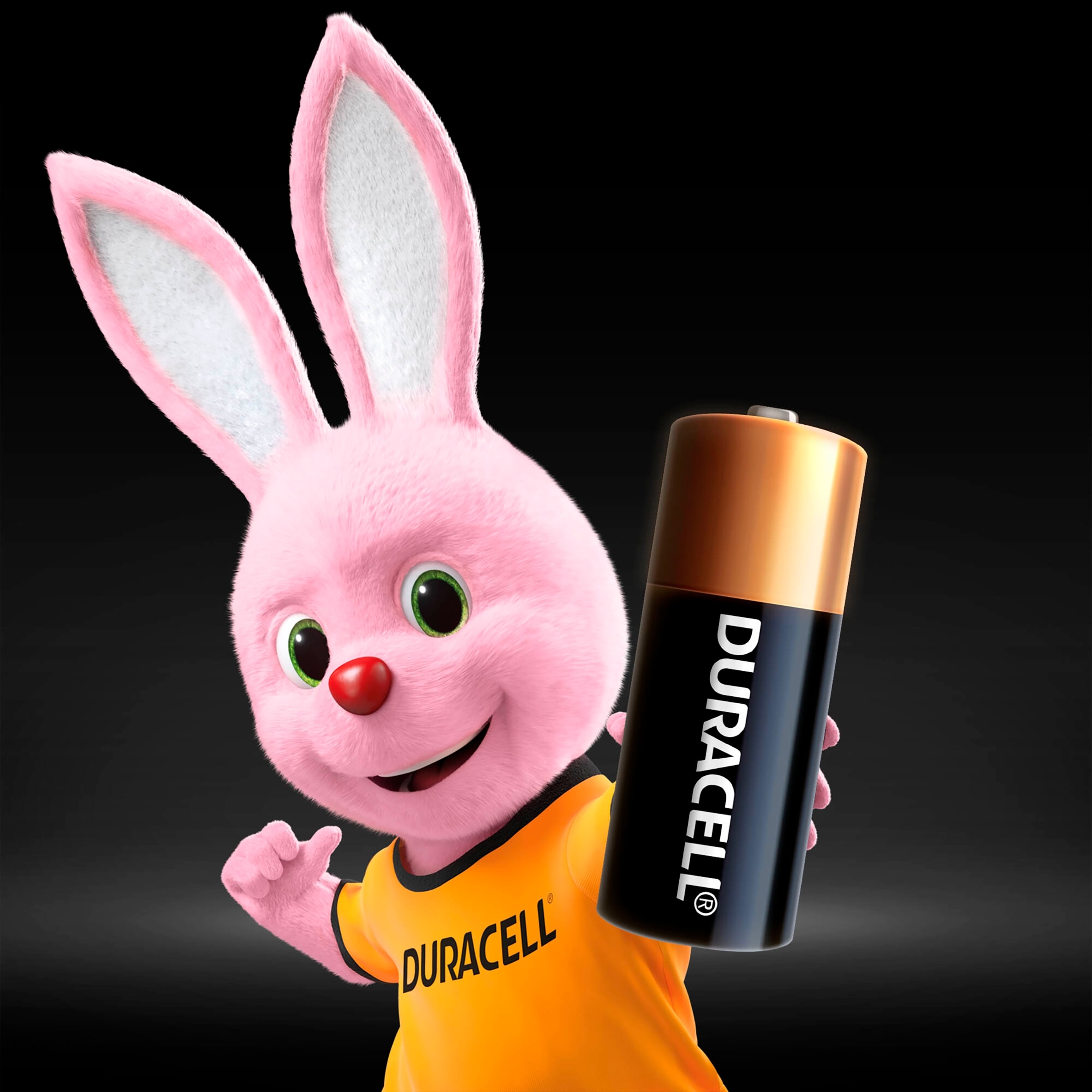 Duracell N/LR1 Batteries 2 Pack thumbnail 2