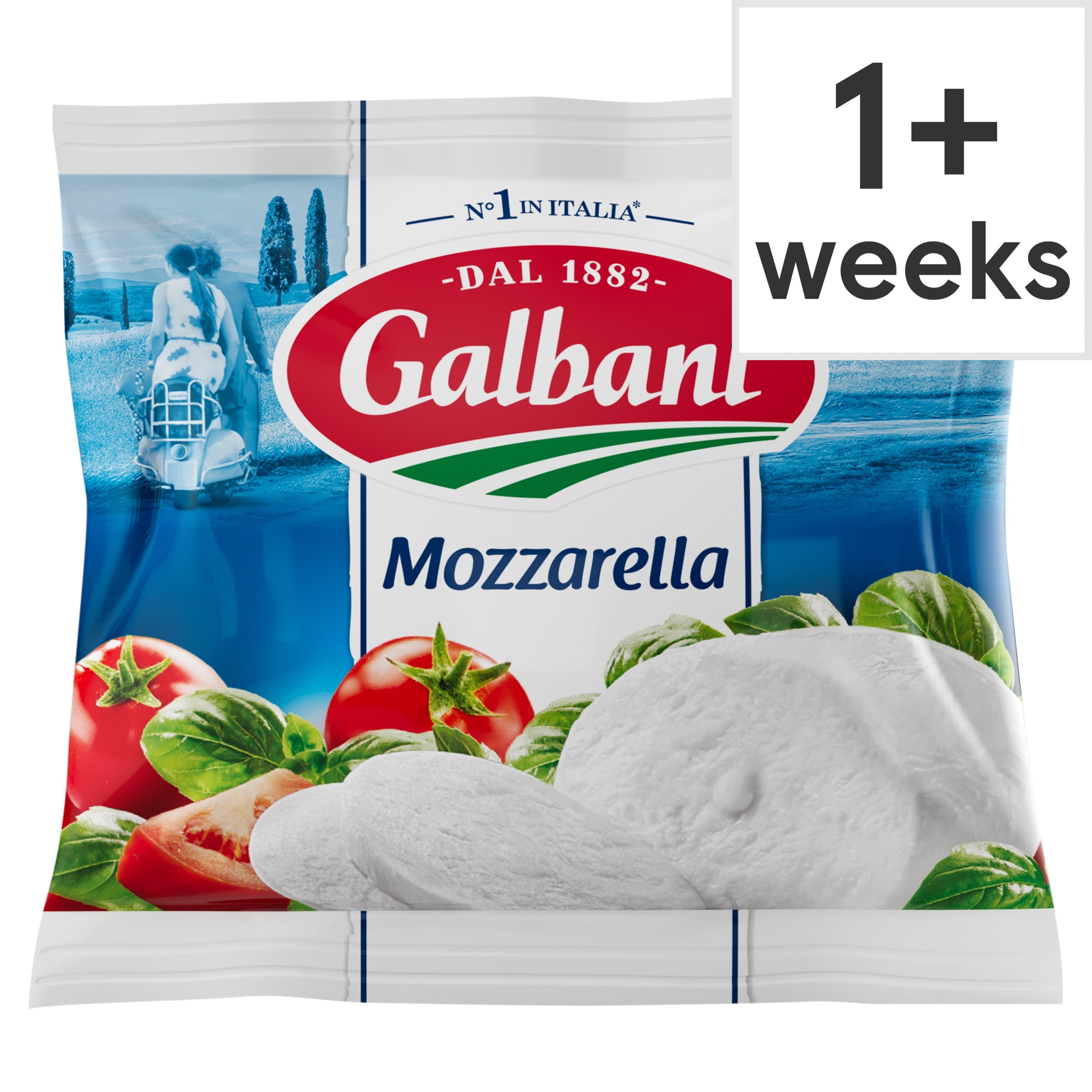 Galbani Italian Mozzarella Cheese 125g