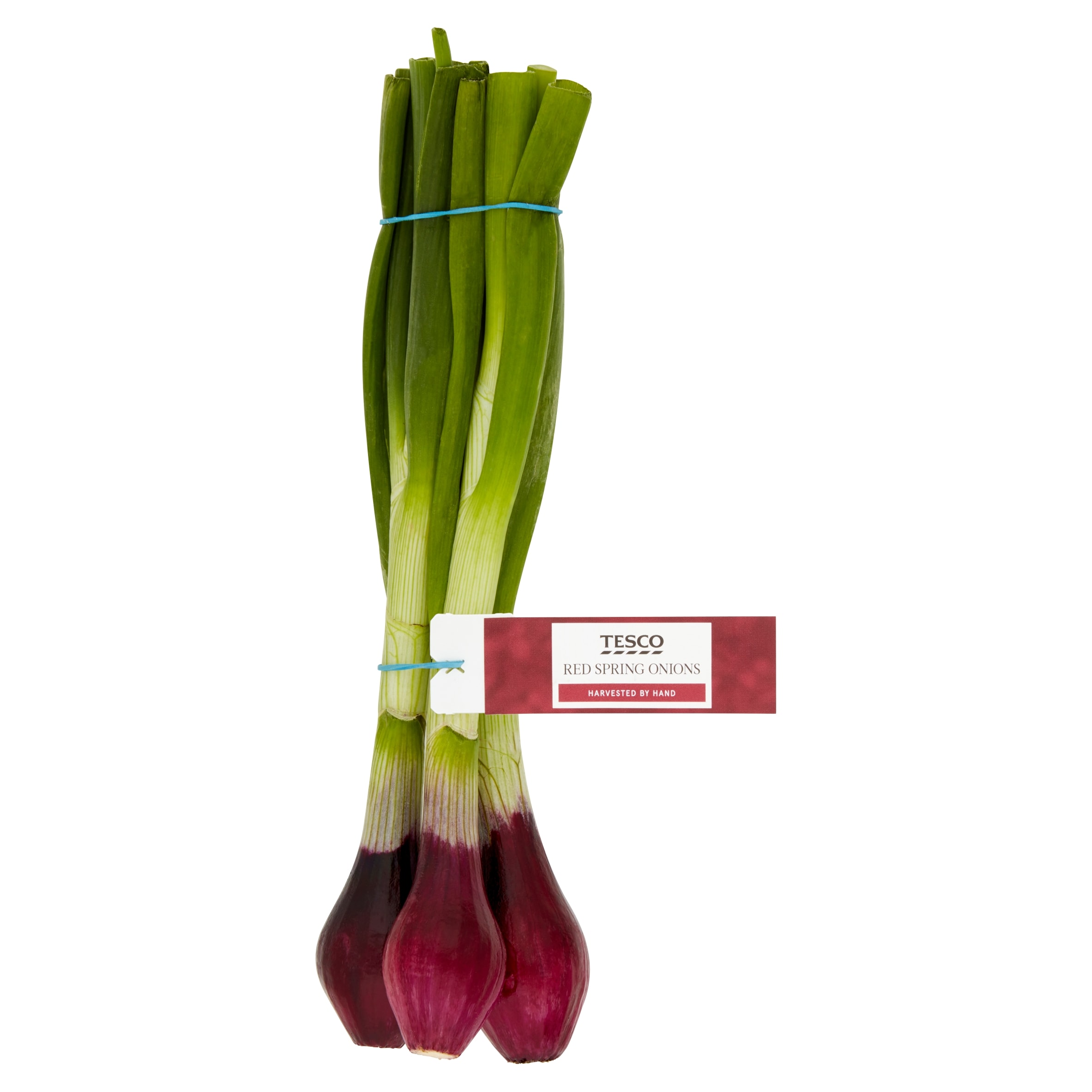 Tesco Red Spring Onions 120G