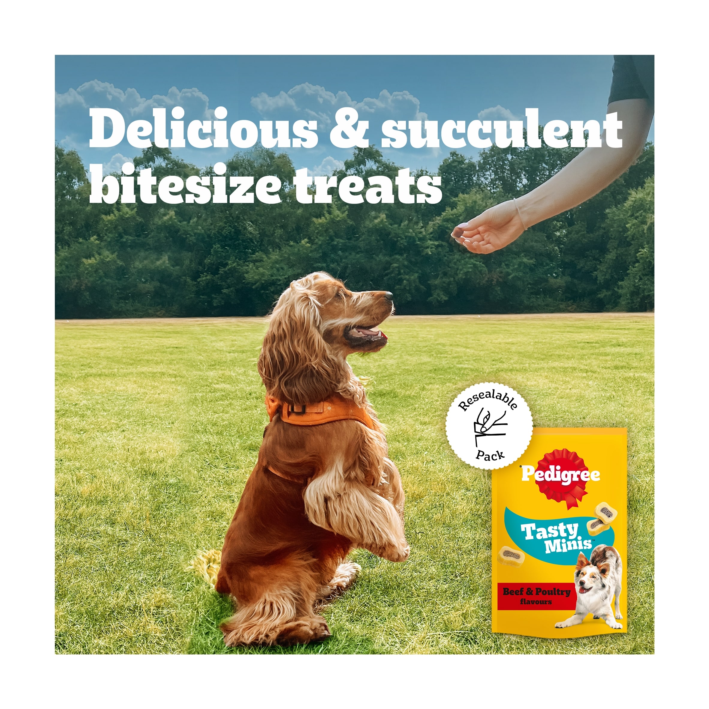 Pedigree Tasty Minis Adult Dog Treat Slices Beef & Poultry 155g thumbnail 4