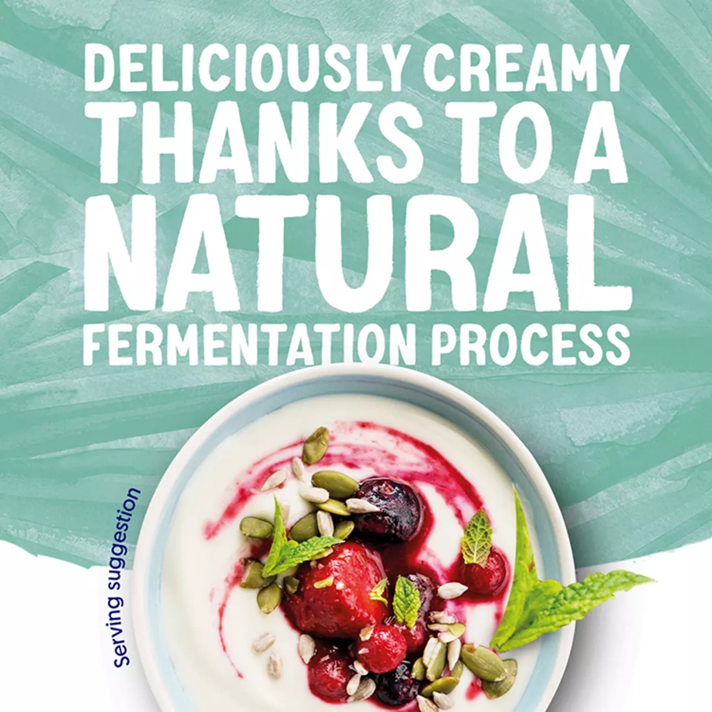 Alpro Plain Coconut Dairy Free Soya Yoghurt Alternative 500g thumbnail 3