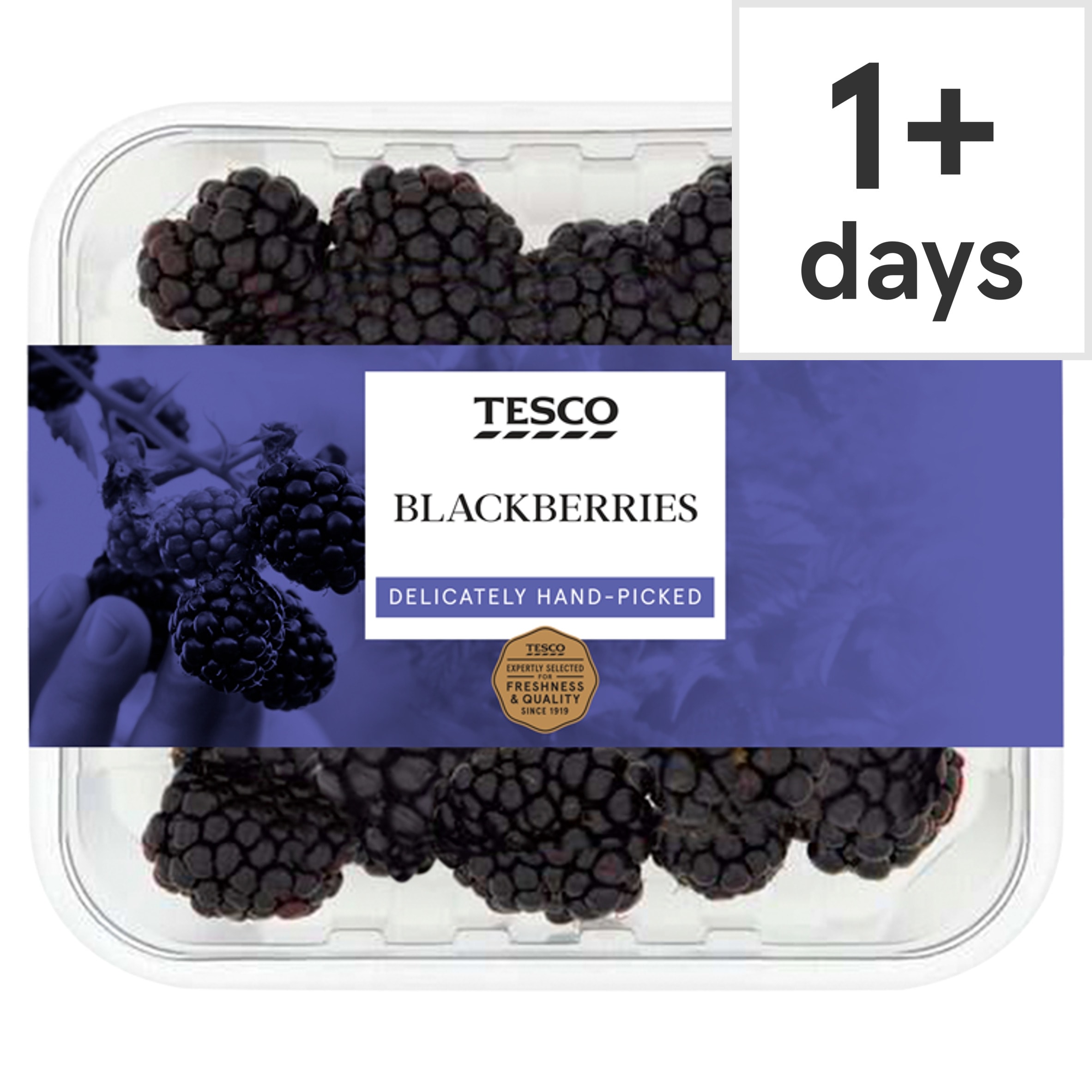 Tesco Blackberries 250G