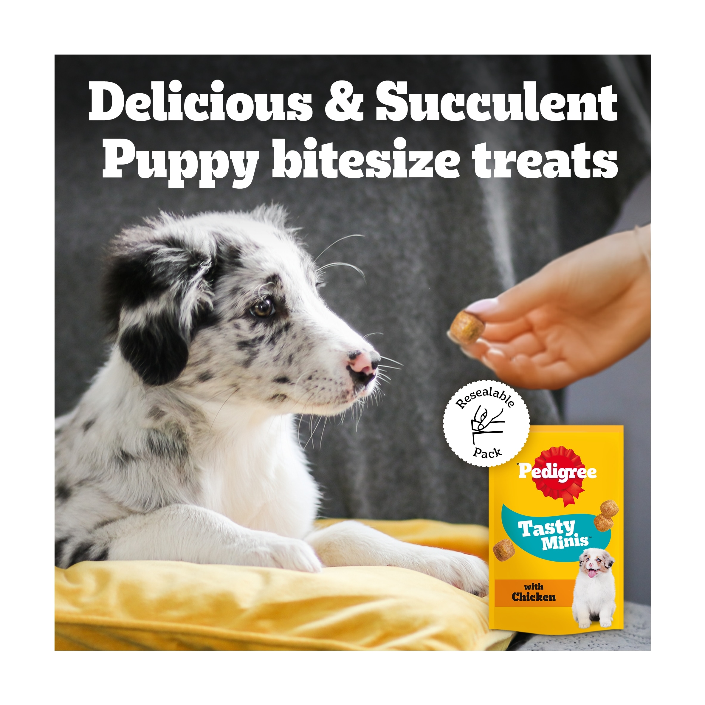 Pedigree Puppy Dog Food Treats Tasty Minis Cubes Chicken 125g thumbnail 4