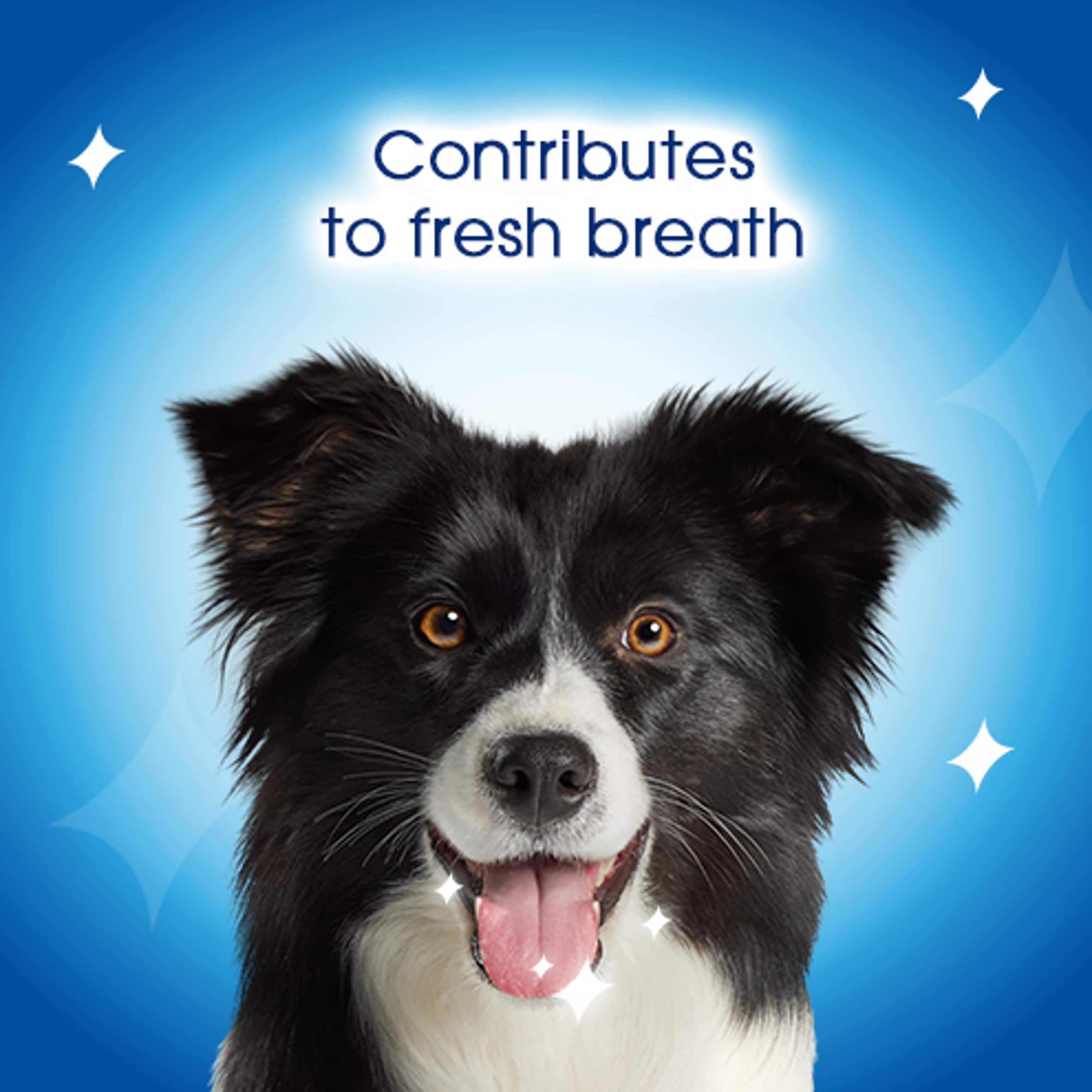 DENTALIFE Small Dental Chicken Dog Chews 7 Sticks thumbnail 6