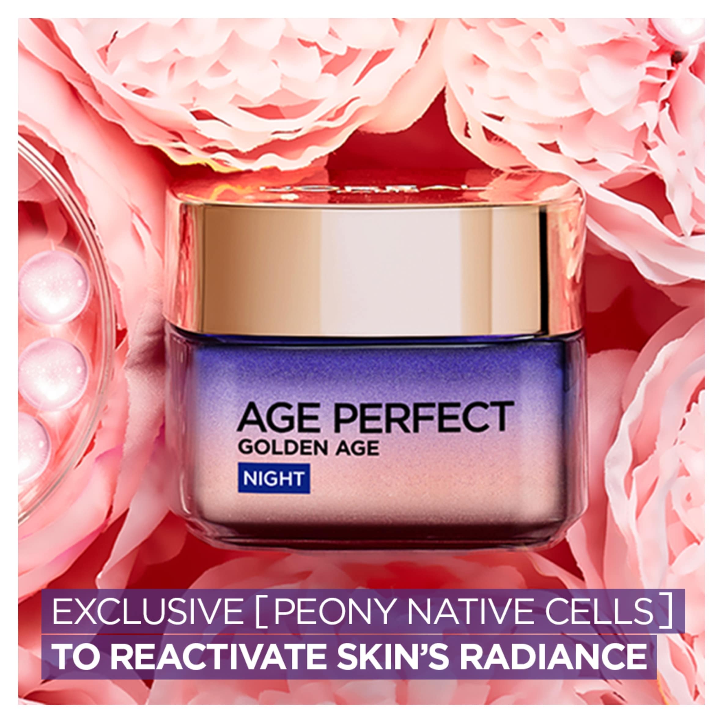 L’Oréal Paris Age Perfect Golden Night Cream for 50+, Renew Skin Barrier Overnight, 50ml thumbnail 3