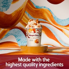 Haagen-Dazs Ice Cream - Salted Caramel 460ml thumbnail 2