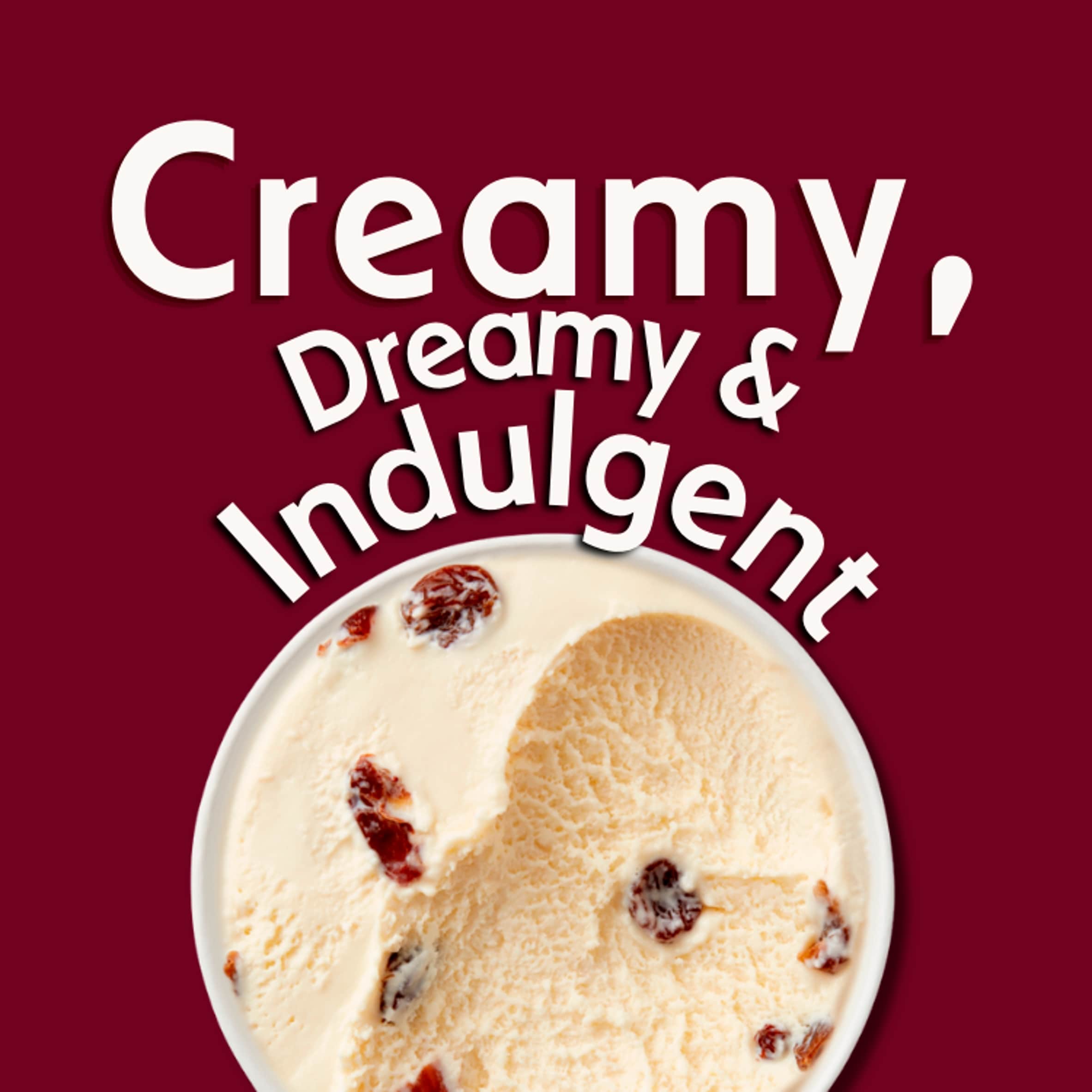Haagen-Dazs Rum Raisin Ice Cream 460ml thumbnail 2