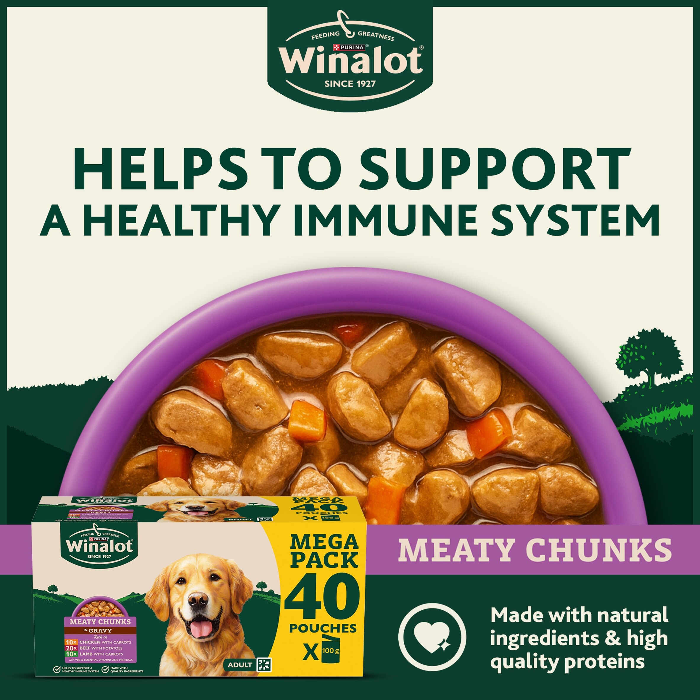 WINALOT Meaty Chunks Mixed in Gravy Wet Dog Food 40x100g thumbnail 3