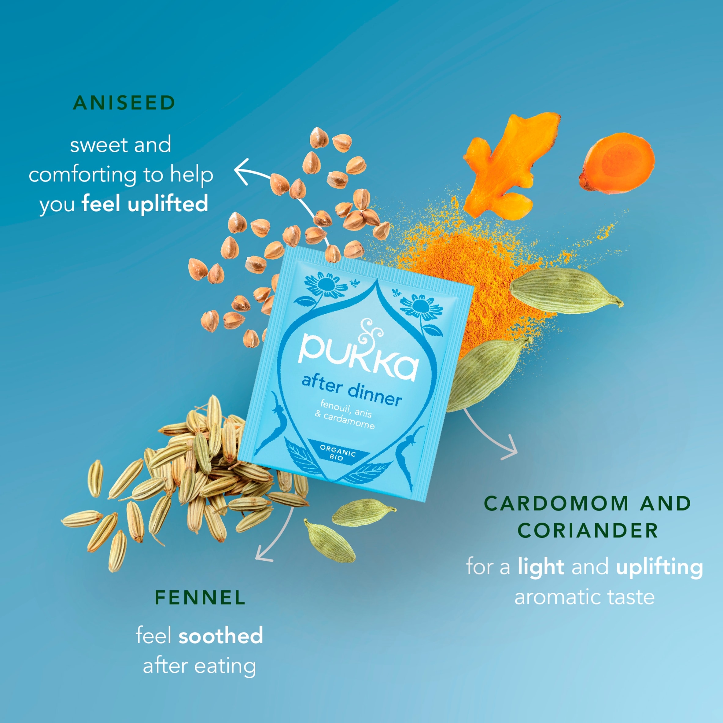Pukka Organic After Dinner Tea With Fennel for Digestion 20 Herbal Tea Bags 40g thumbnail 3