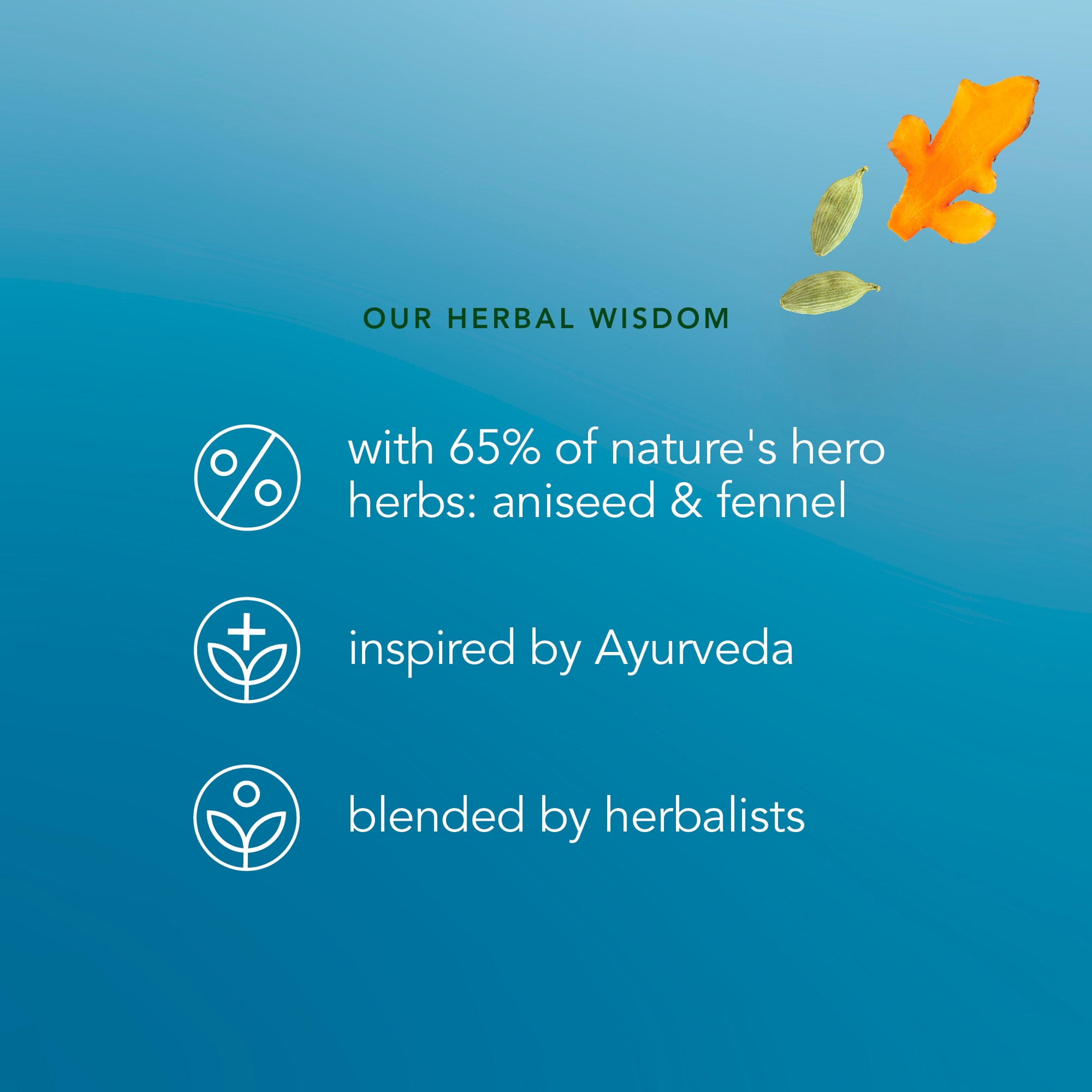 Pukka Organic After Dinner Tea With Fennel for Digestion 20 Herbal Tea Bags 40g thumbnail 4