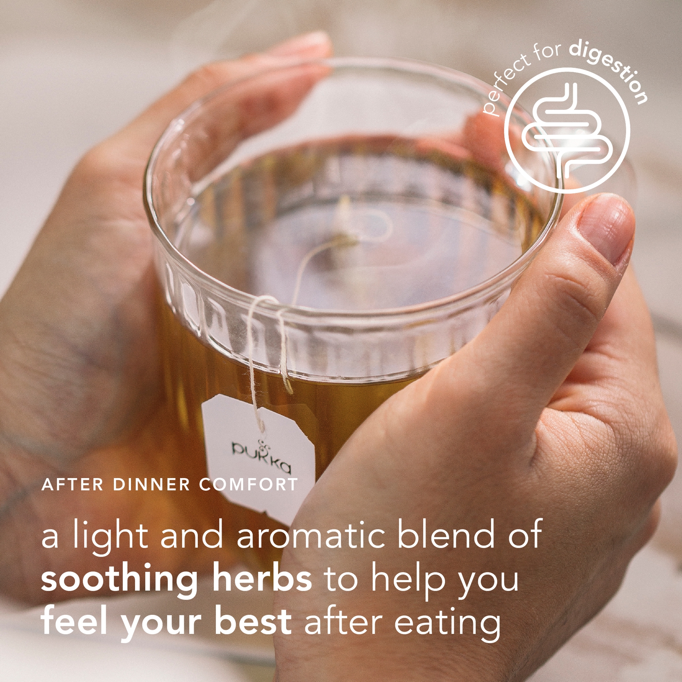 Pukka Organic After Dinner Tea With Fennel for Digestion 20 Herbal Tea Bags 40g thumbnail 5