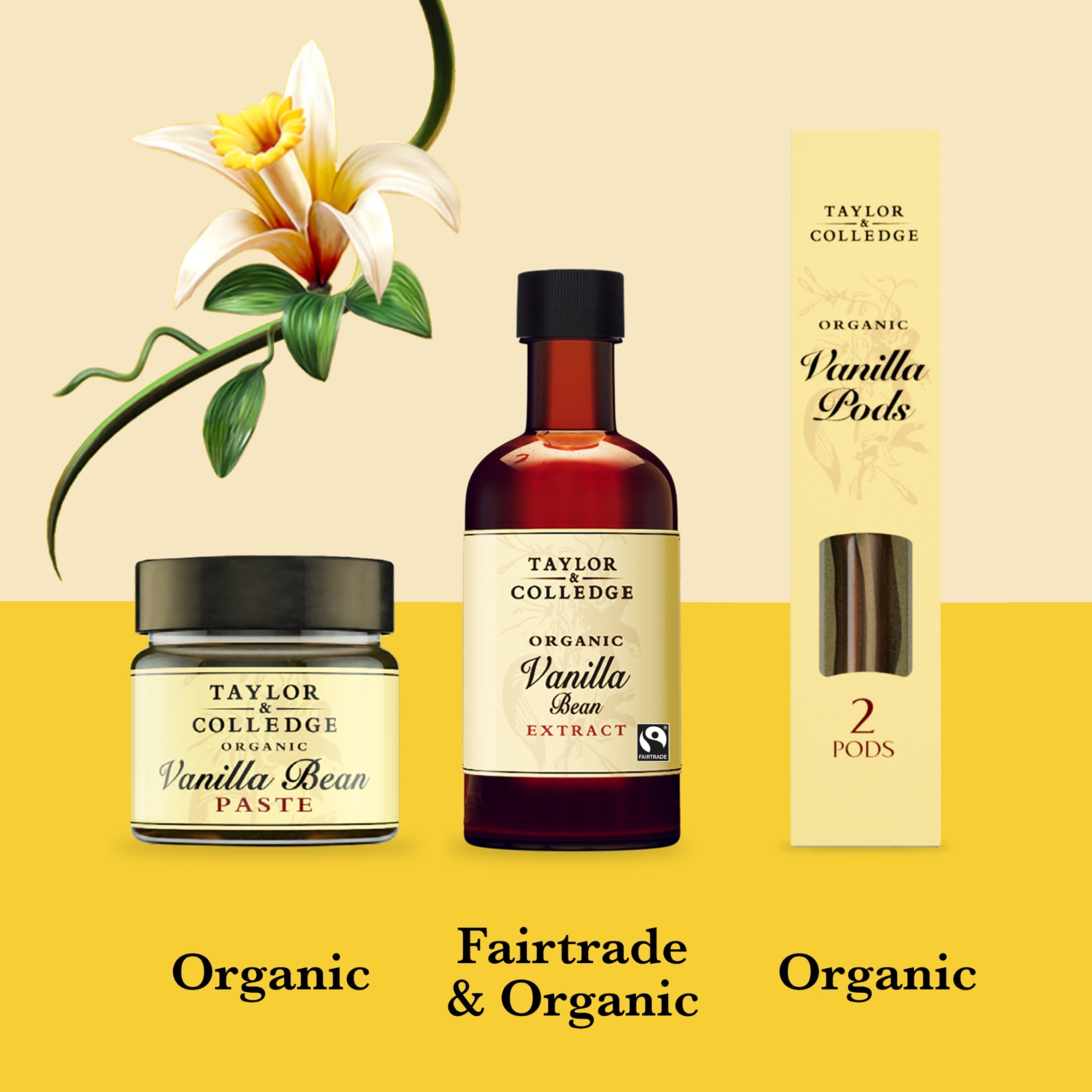 Taylor & Colledge Organic Vanilla Pods 2 Pack thumbnail 3