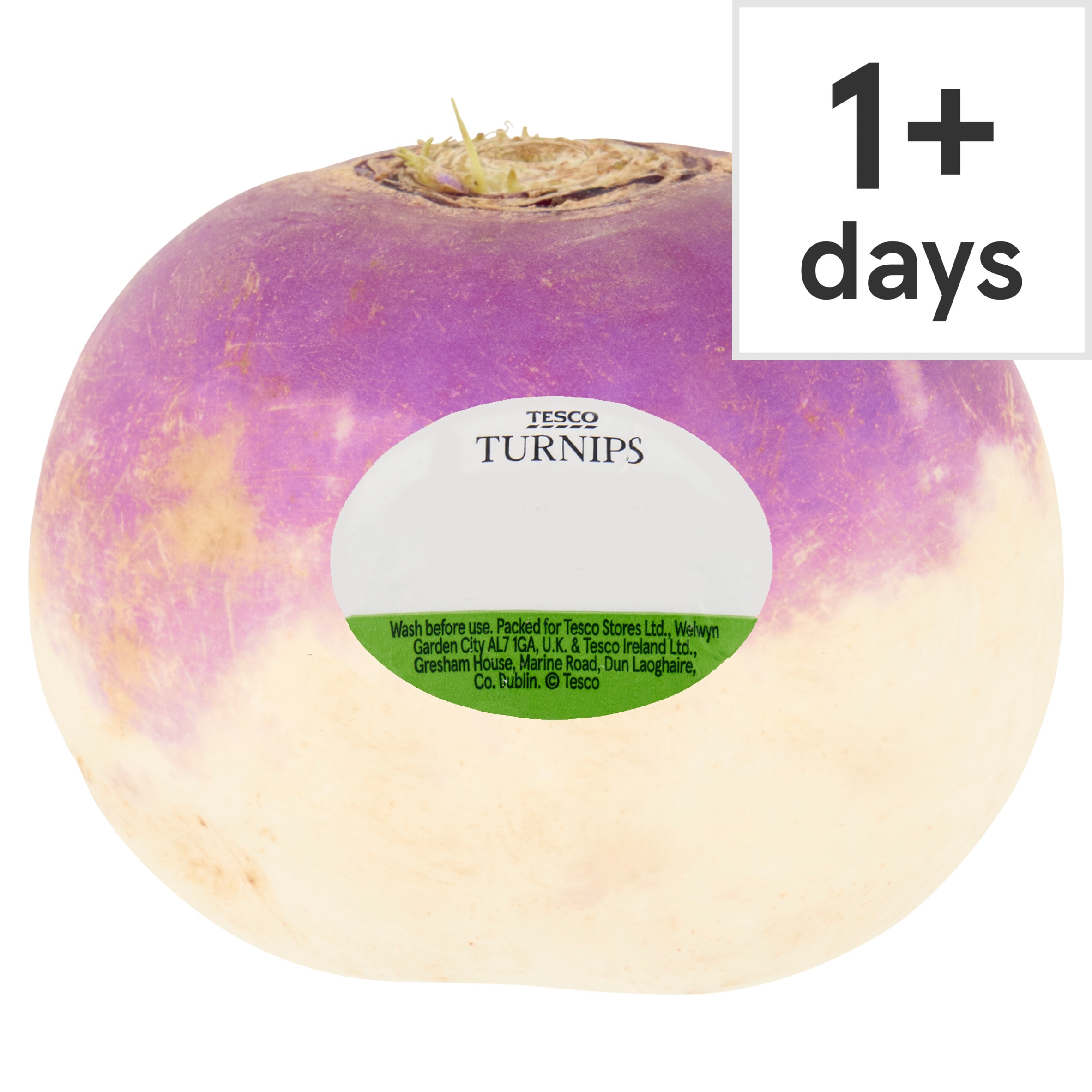 Tesco Turnip
