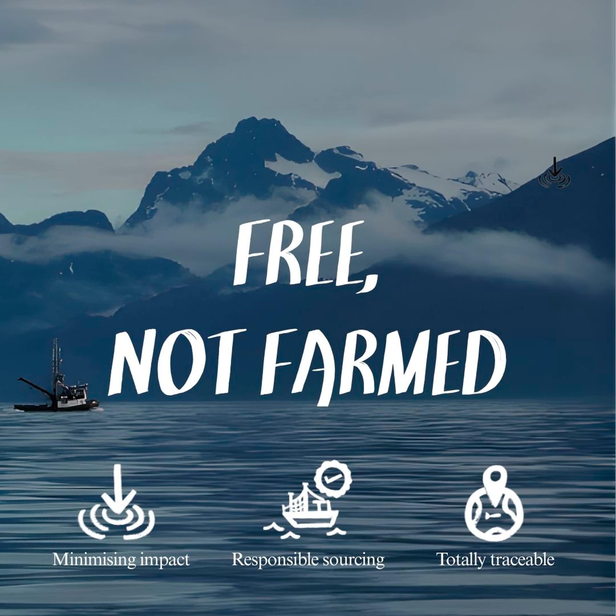 Leap Free Not Farmed Albacore Tuna 220G thumbnail 4