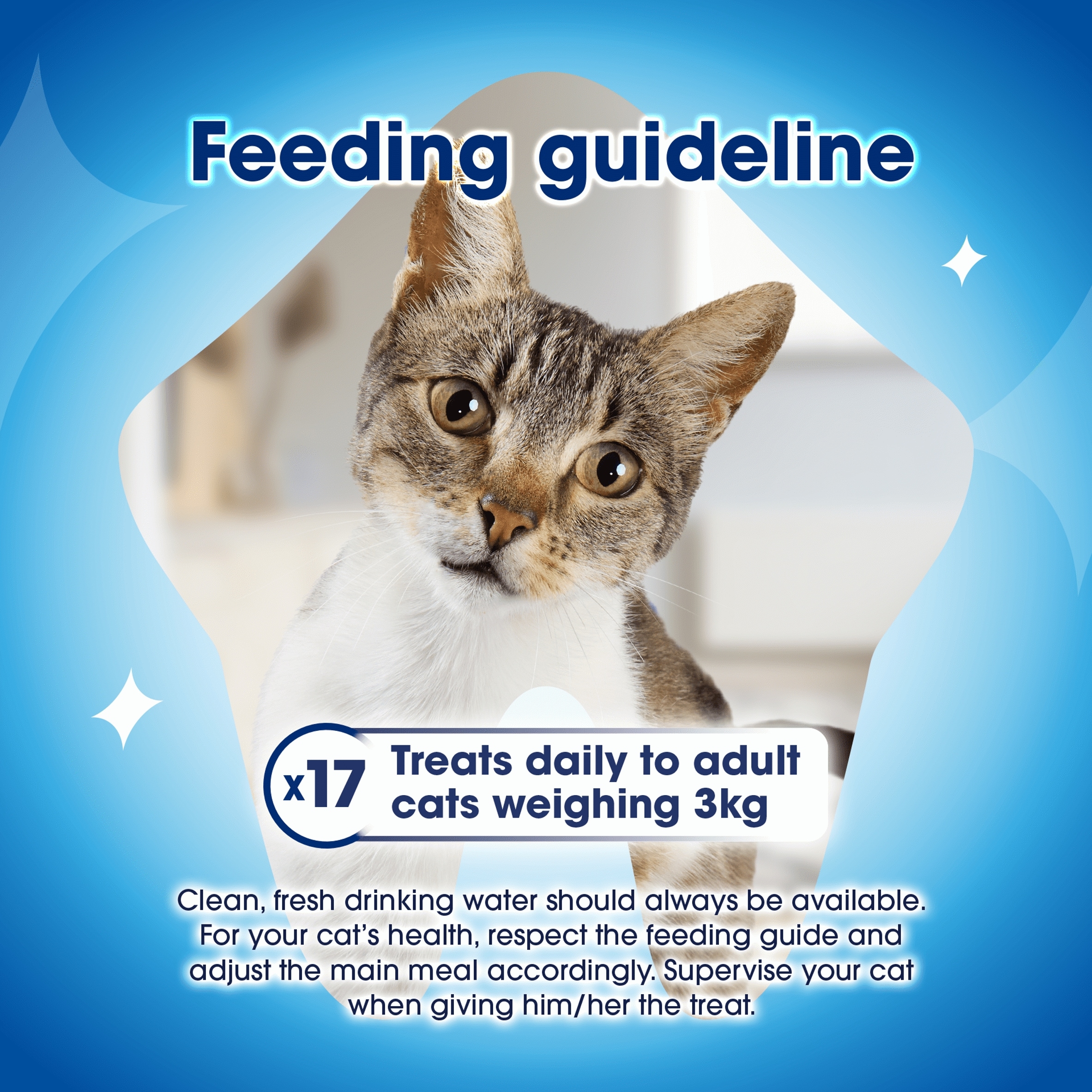 DENTALIFE Dental Chicken Cat Treats 140g thumbnail 5
