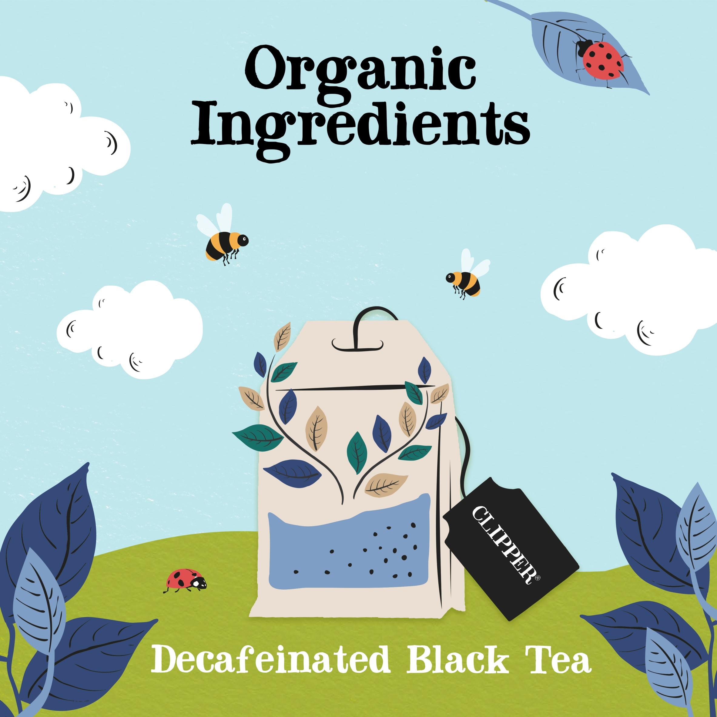 Clipper Fairtrade Organic Decaf Tea 40 Pack 116g thumbnail 3
