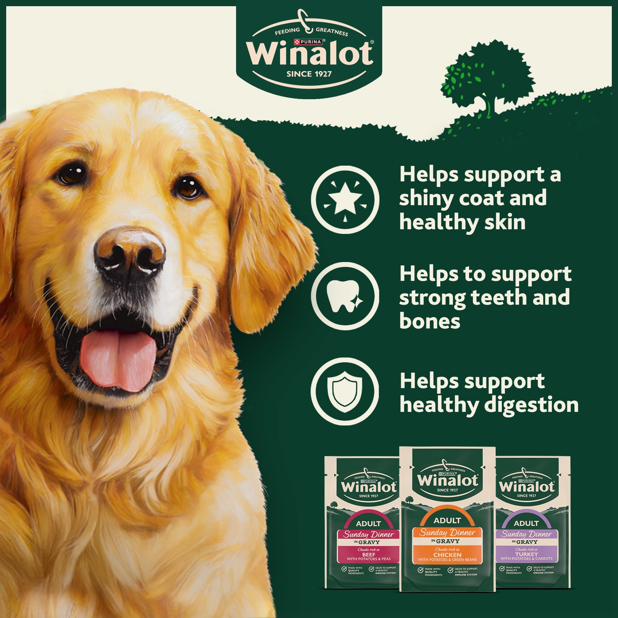 WINALOT Sunday Dinner Mixed in Gravy Wet Dog Food 40x100g thumbnail 4