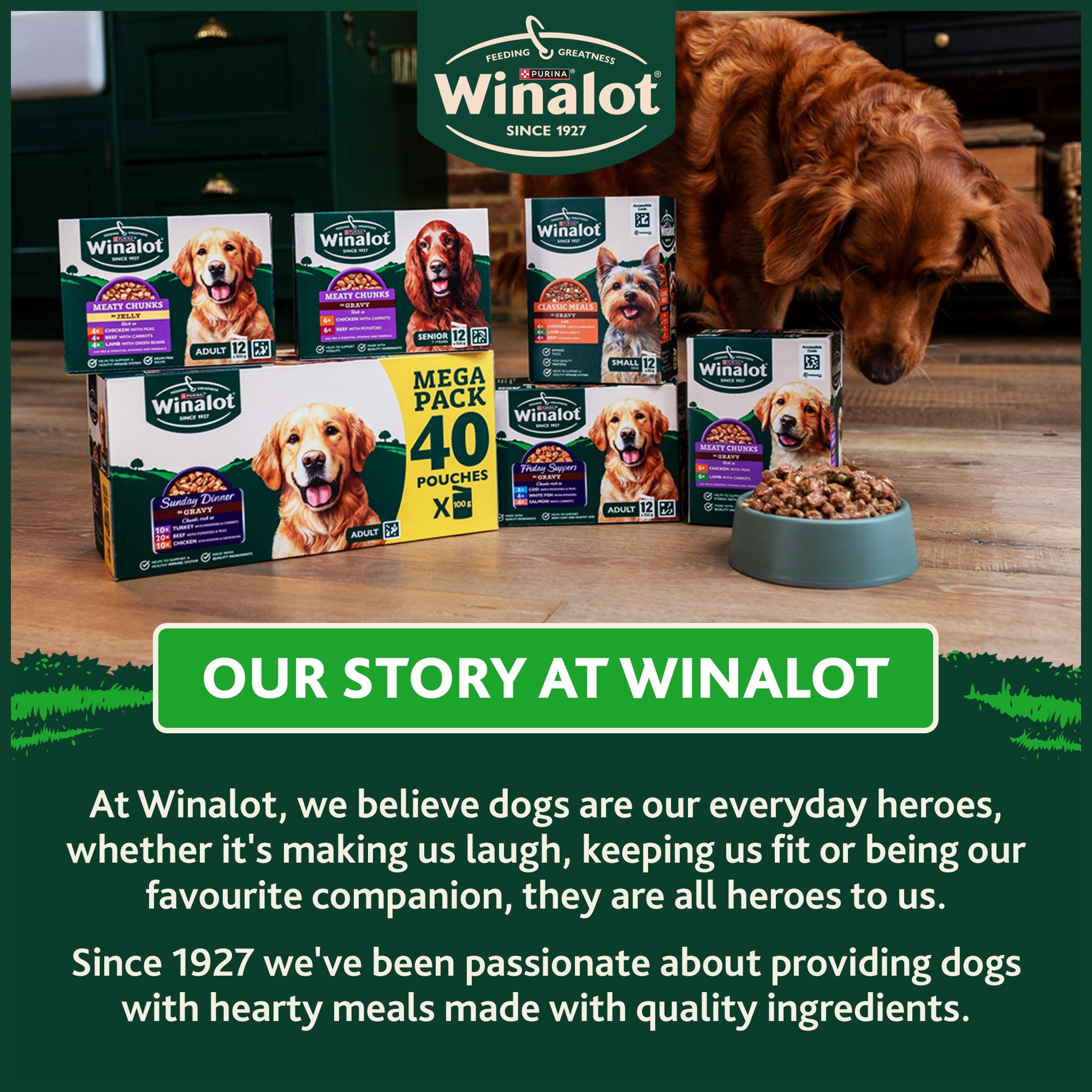 WINALOT Sunday Dinner Mixed in Gravy Wet Dog Food 40x100g thumbnail 7