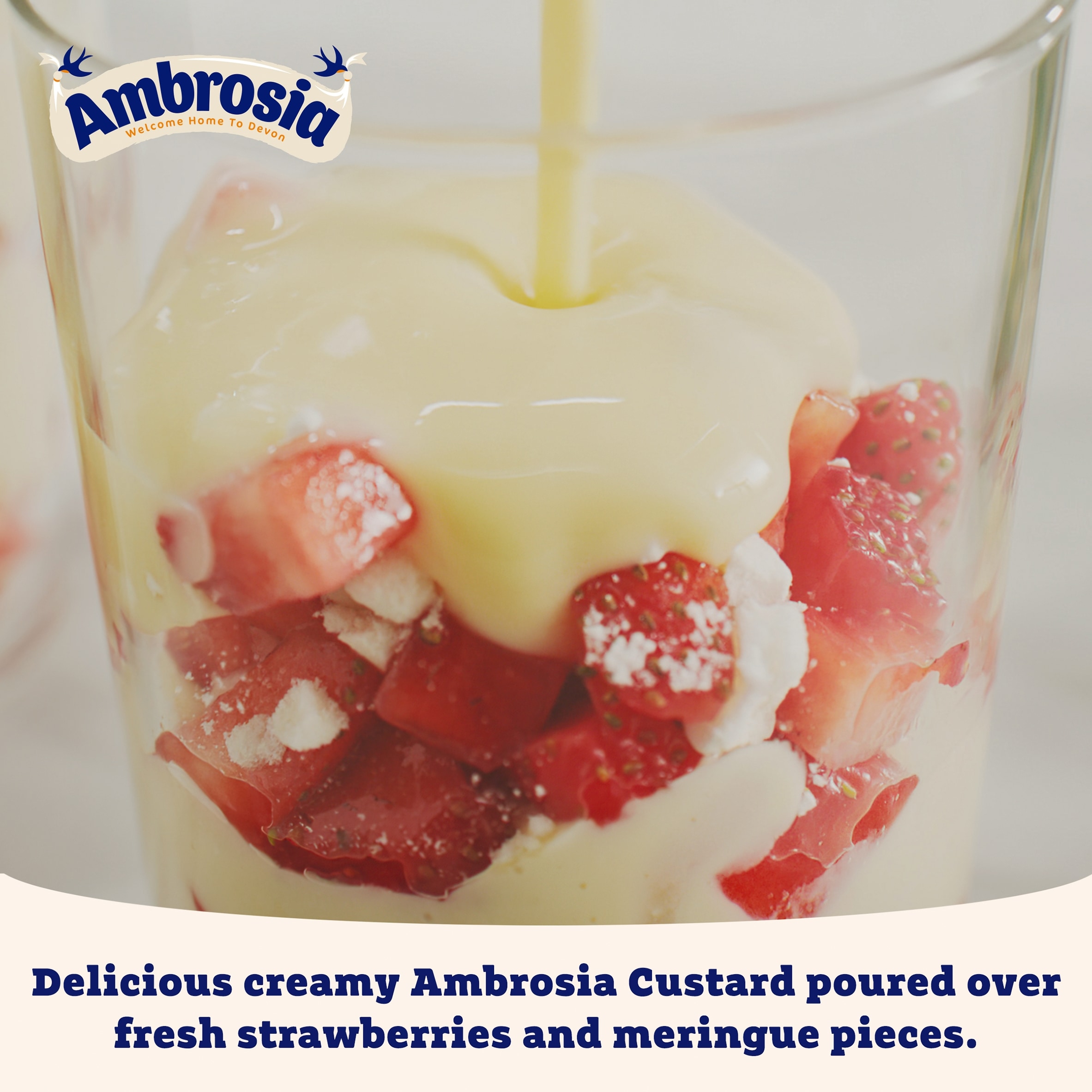 Ambrosia Devon Custard 500G thumbnail 3