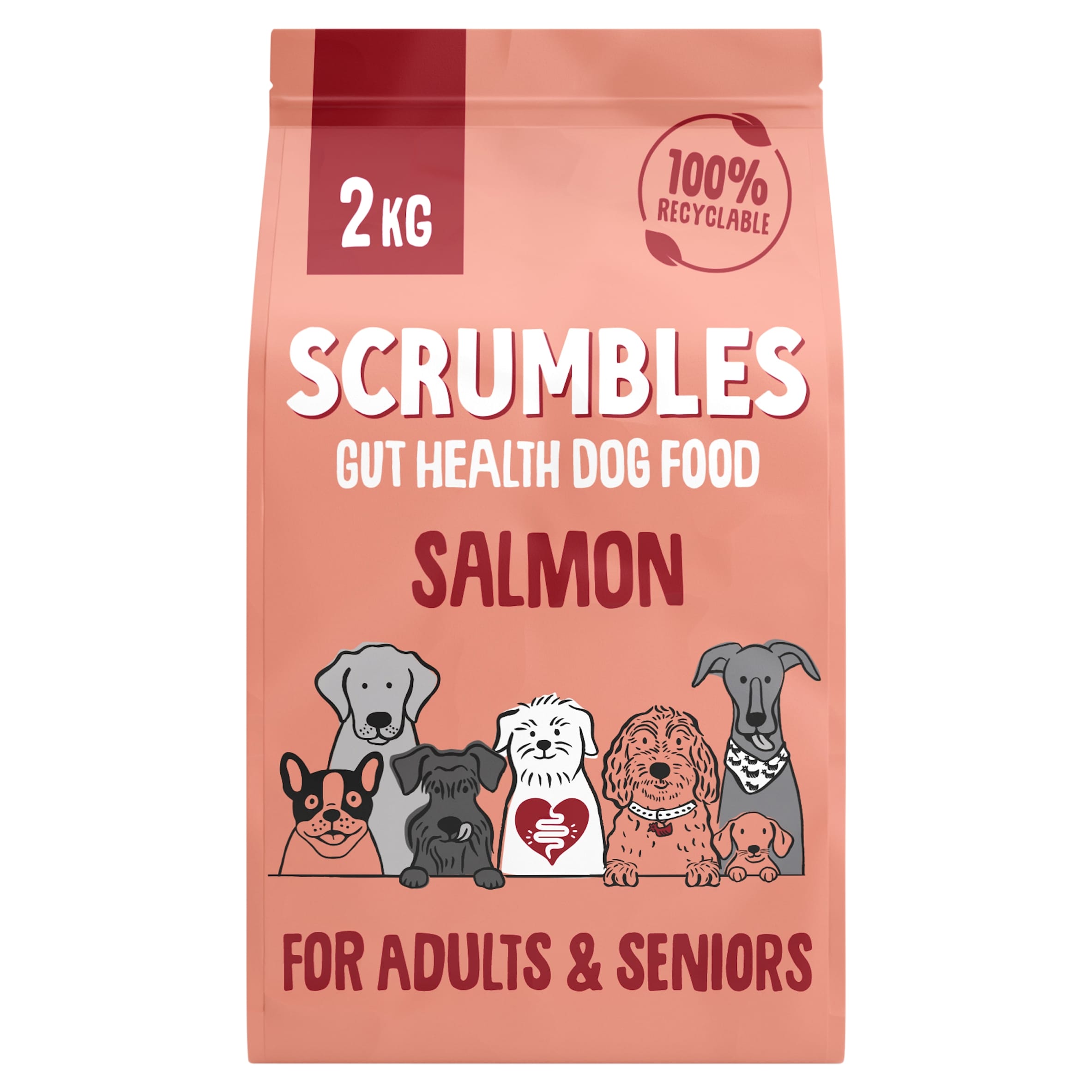 Scrumbles Grain Free Adult and Seniors Salmon Dry Dog Food