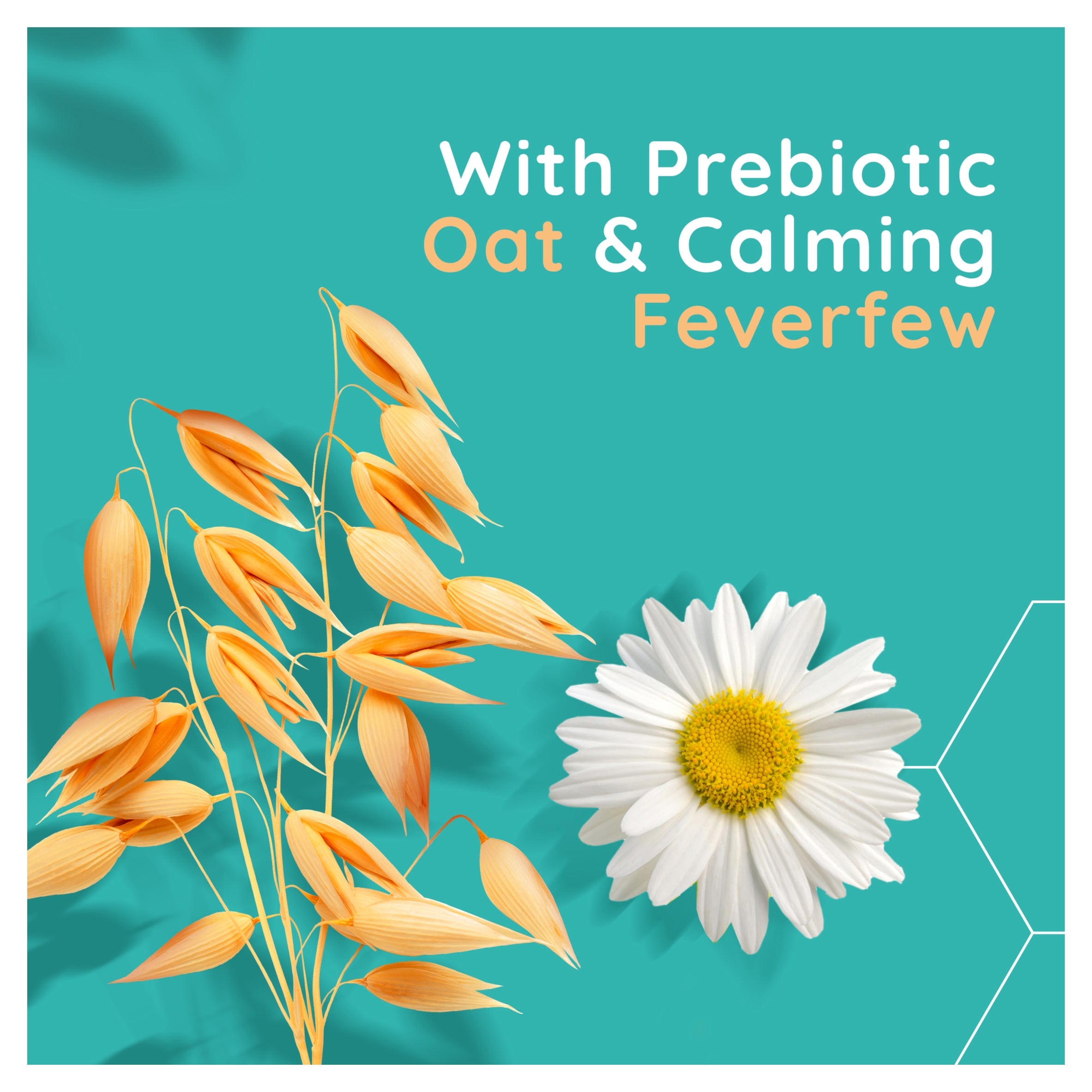 Aveeno Face Calm and Restore Oat Gel Moisturiser 50ml thumbnail 2