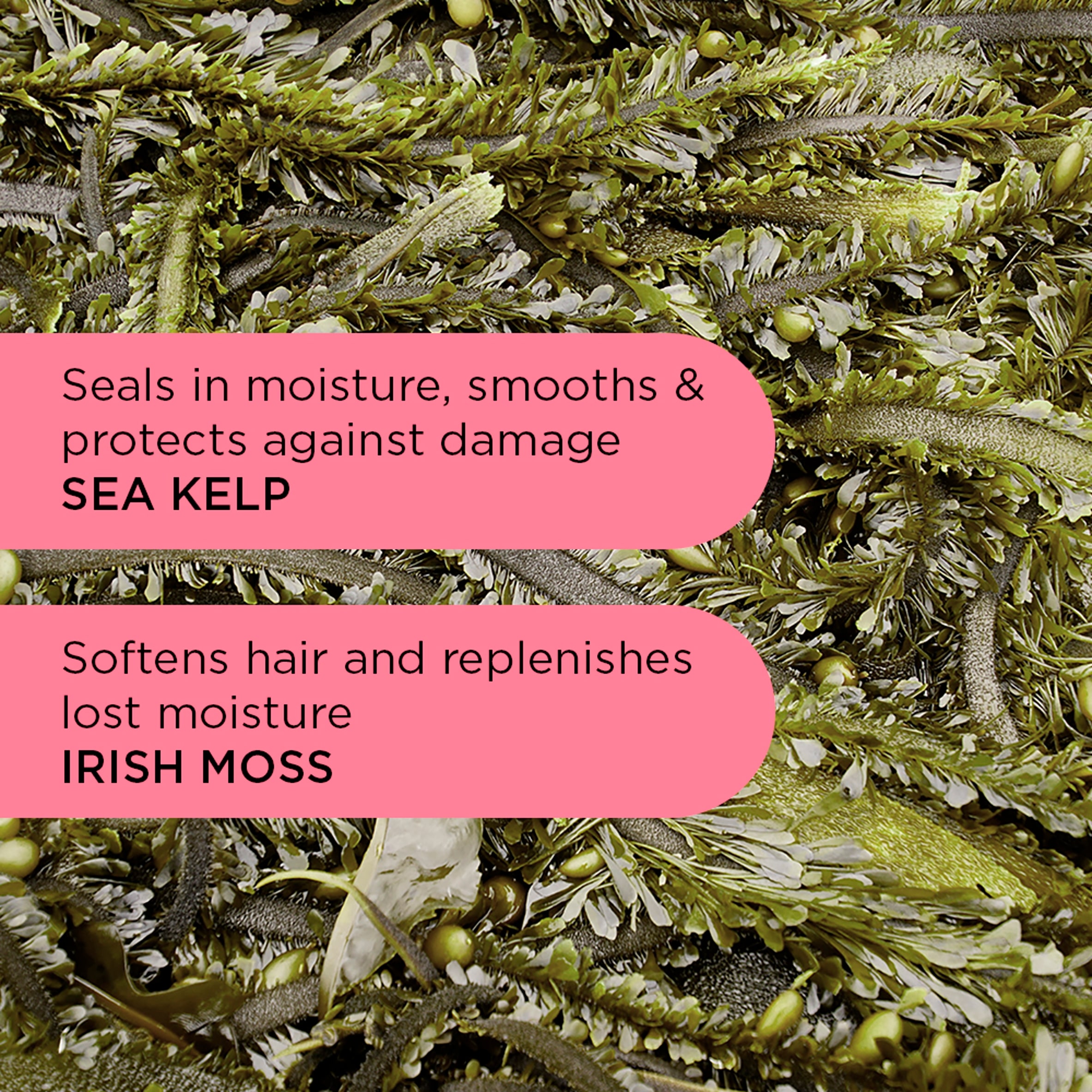 Noughty Wave Curl Scrunching Jelly 200Ml thumbnail 4
