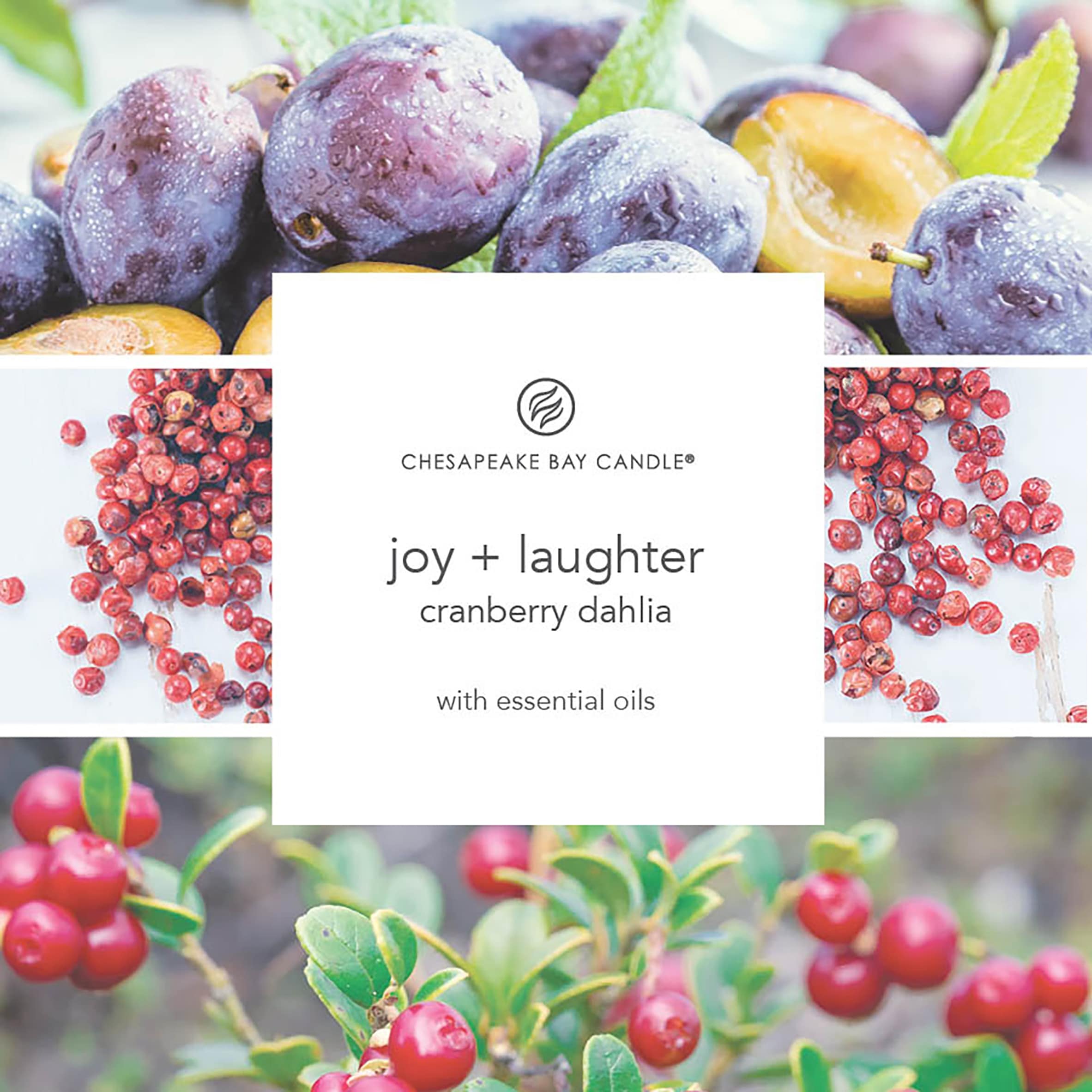 Chesapeake Bay Cranberry Dehlia Candle 250G thumbnail 2