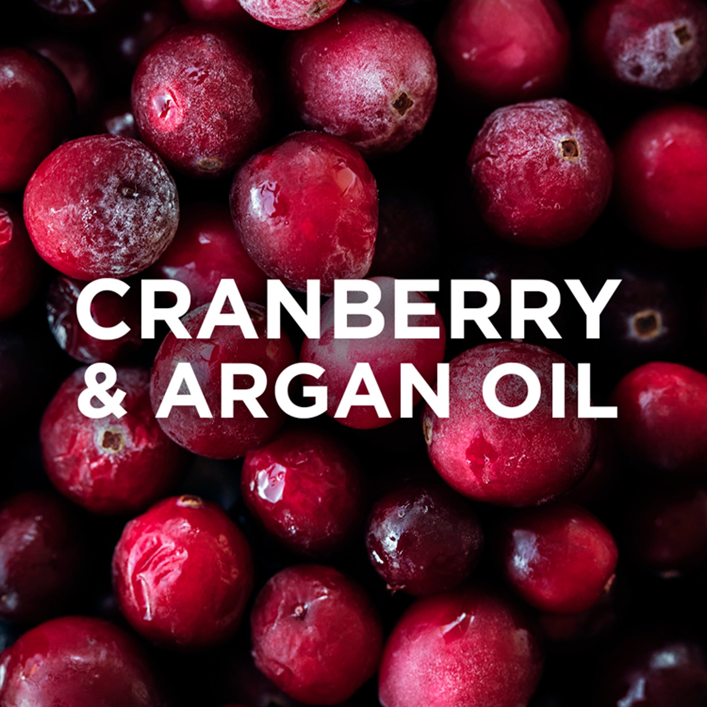 Garnier Ultimate Blends Argan Oil & Cranberry Colour Shampoo 400Ml thumbnail 3