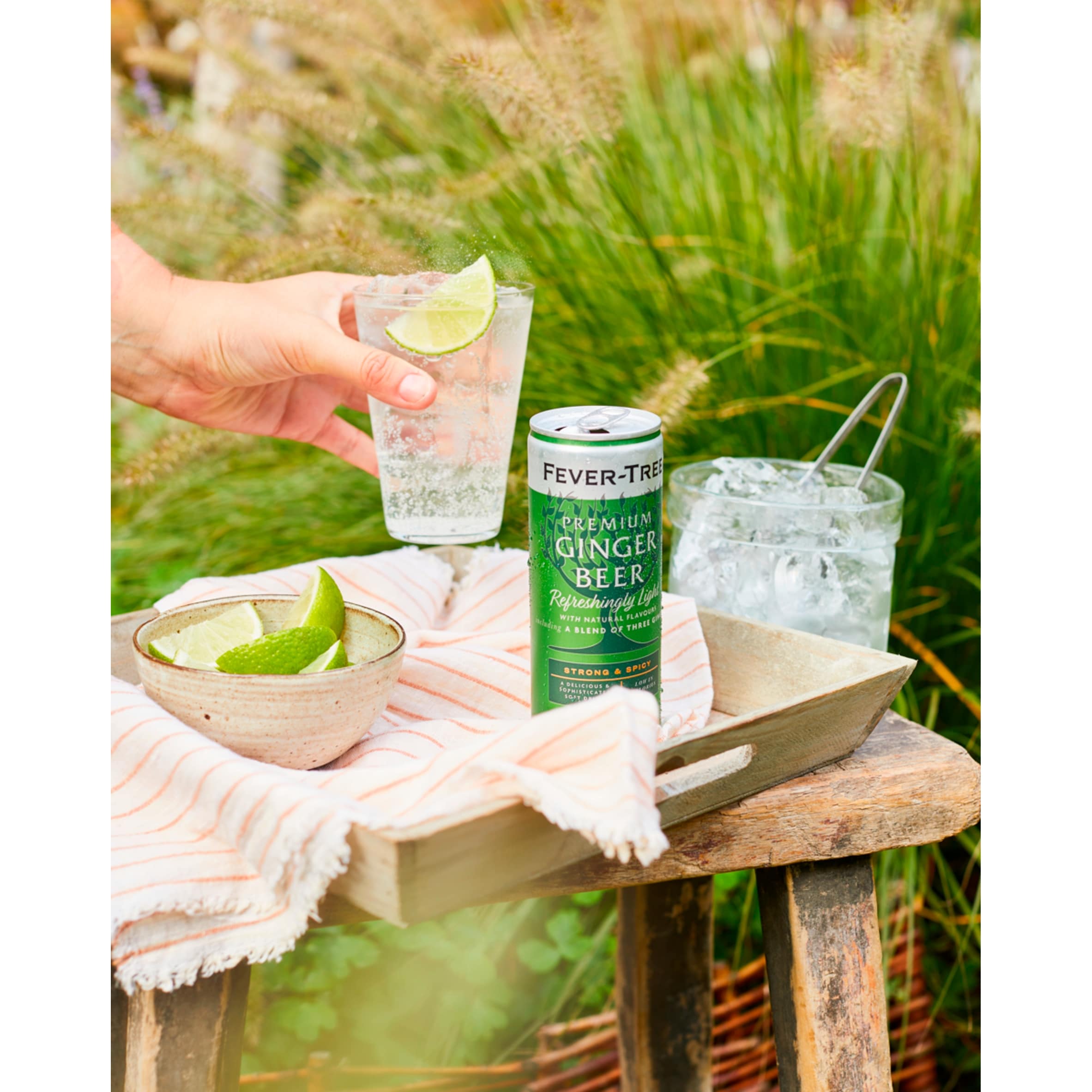 Fever-Tree Ginger Beer Cans 4x250ml thumbnail 3
