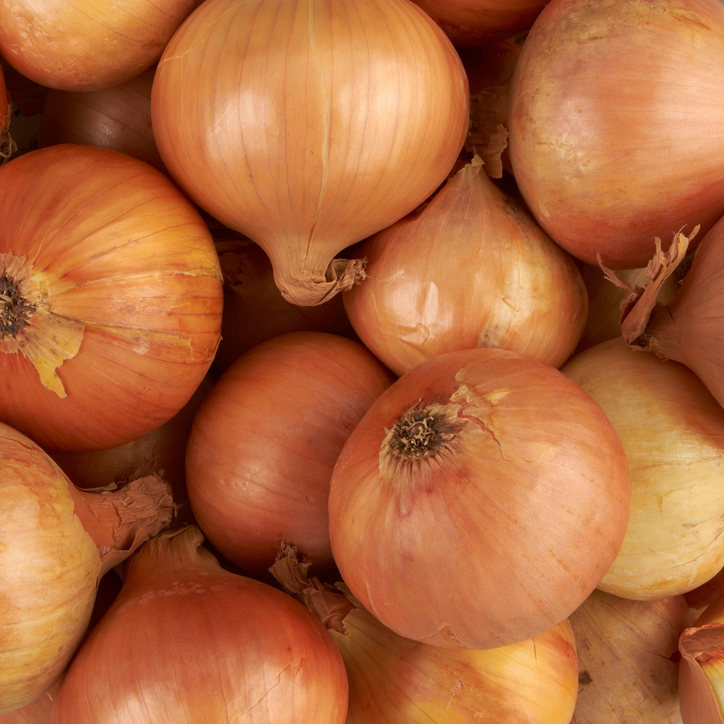 Tesco Brown Onions Each thumbnail 2