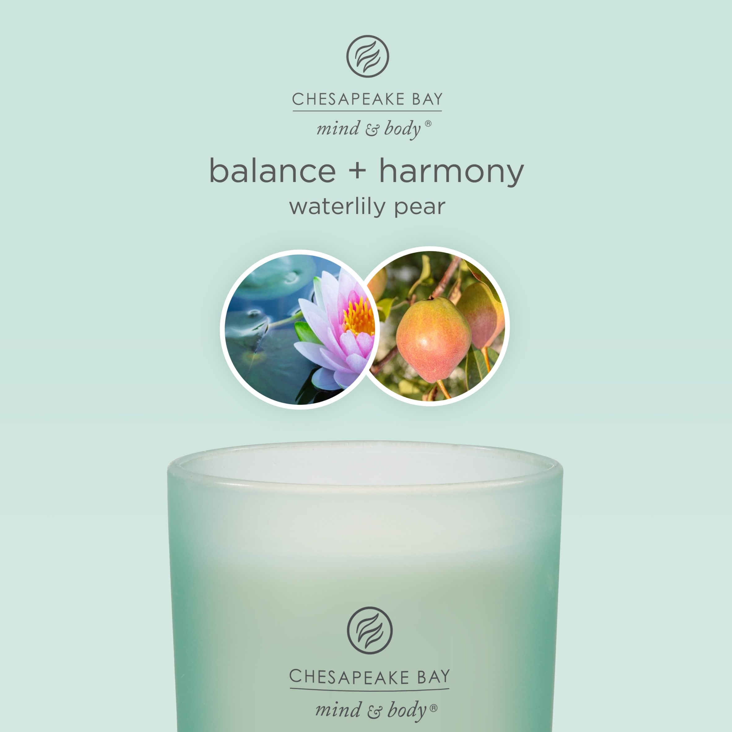 Chesapeake Bay Waterlily Pear Candle 250G thumbnail 2