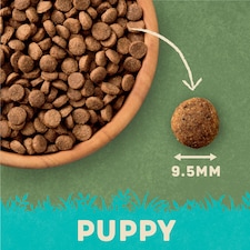 Harringtons Puppy Turkey & Rice 1.7Kg thumbnail 3