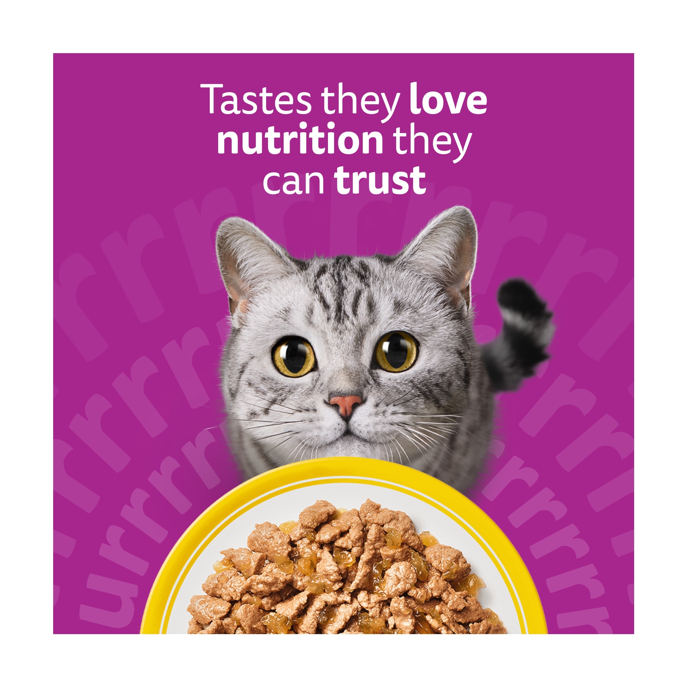 Whiskas Adult Wet Cat Food Pouches Poultry Feasts in Jelly 40x85g thumbnail 4