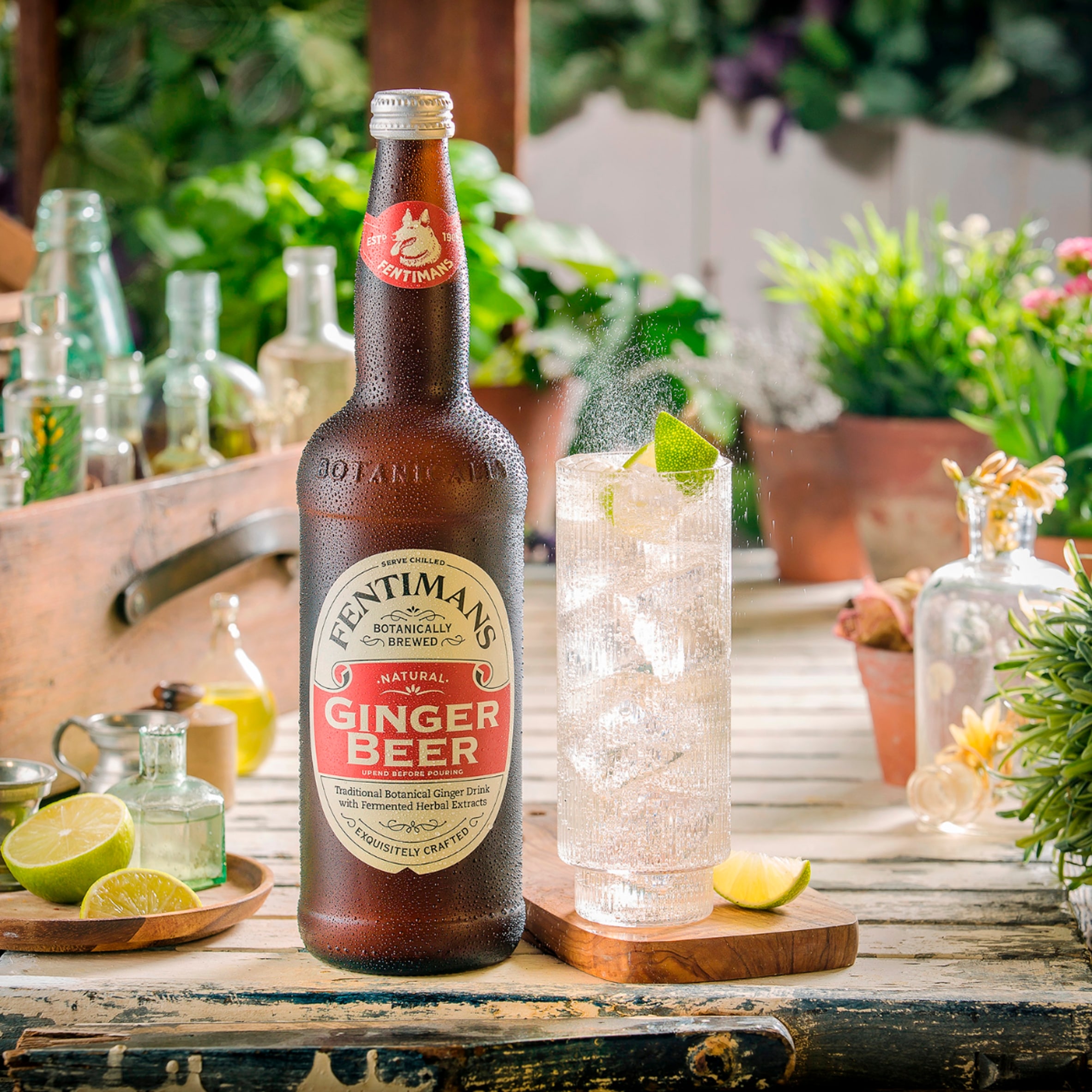 Fentimans Ginger Beer 750Ml thumbnail 2