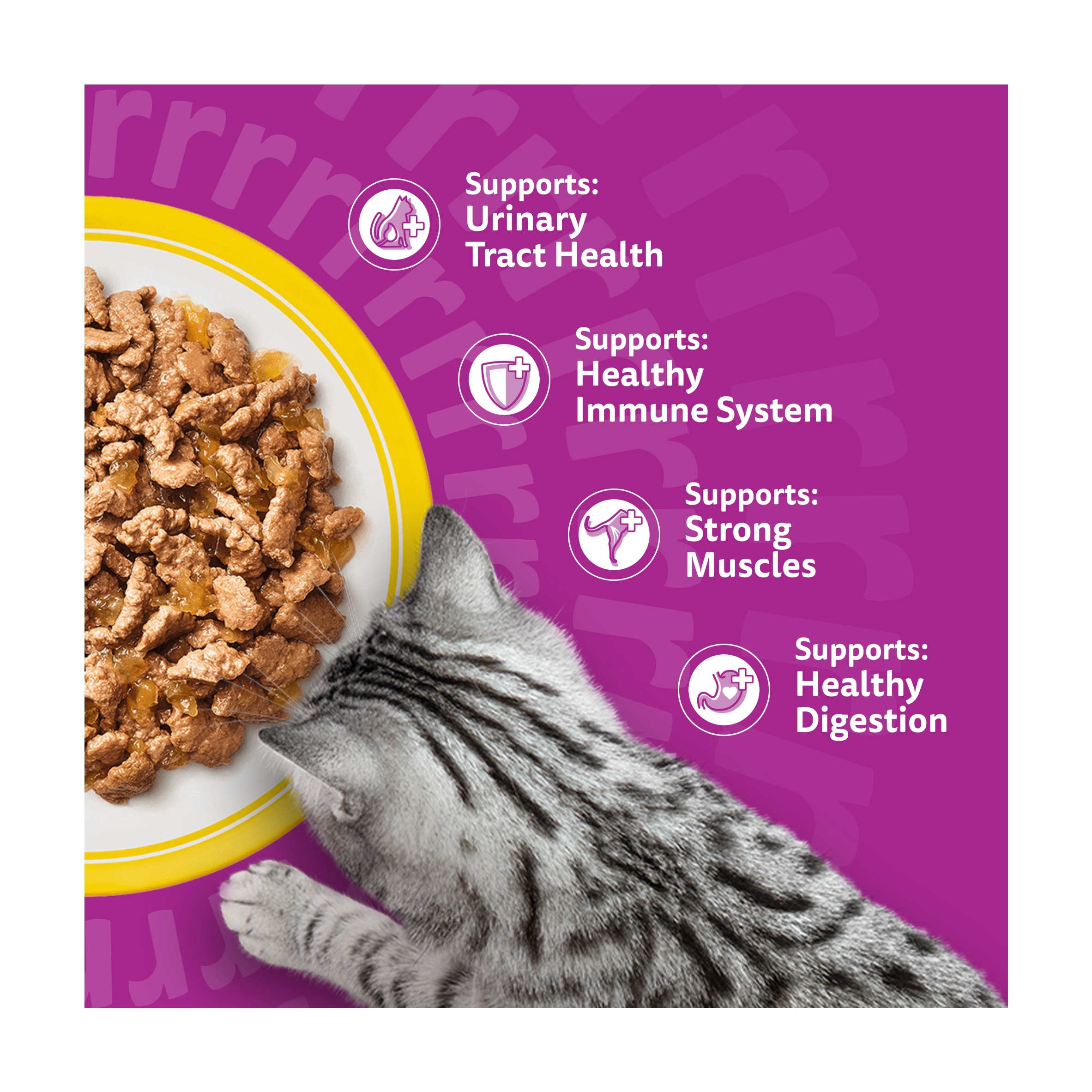 Whiskas 7+ Senior Wet Cat Food Pouches Poultry Feasts Jelly 40x85g thumbnail 3