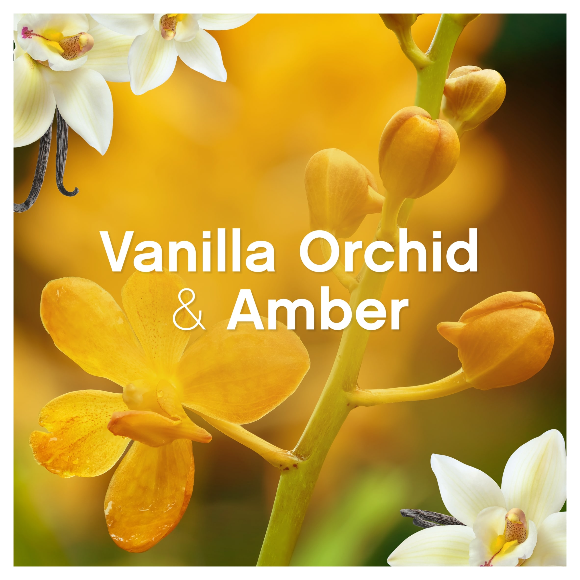 Lenor Fabric Conditioner Gold Orchid 42 Washes 1.386Ltr thumbnail 4