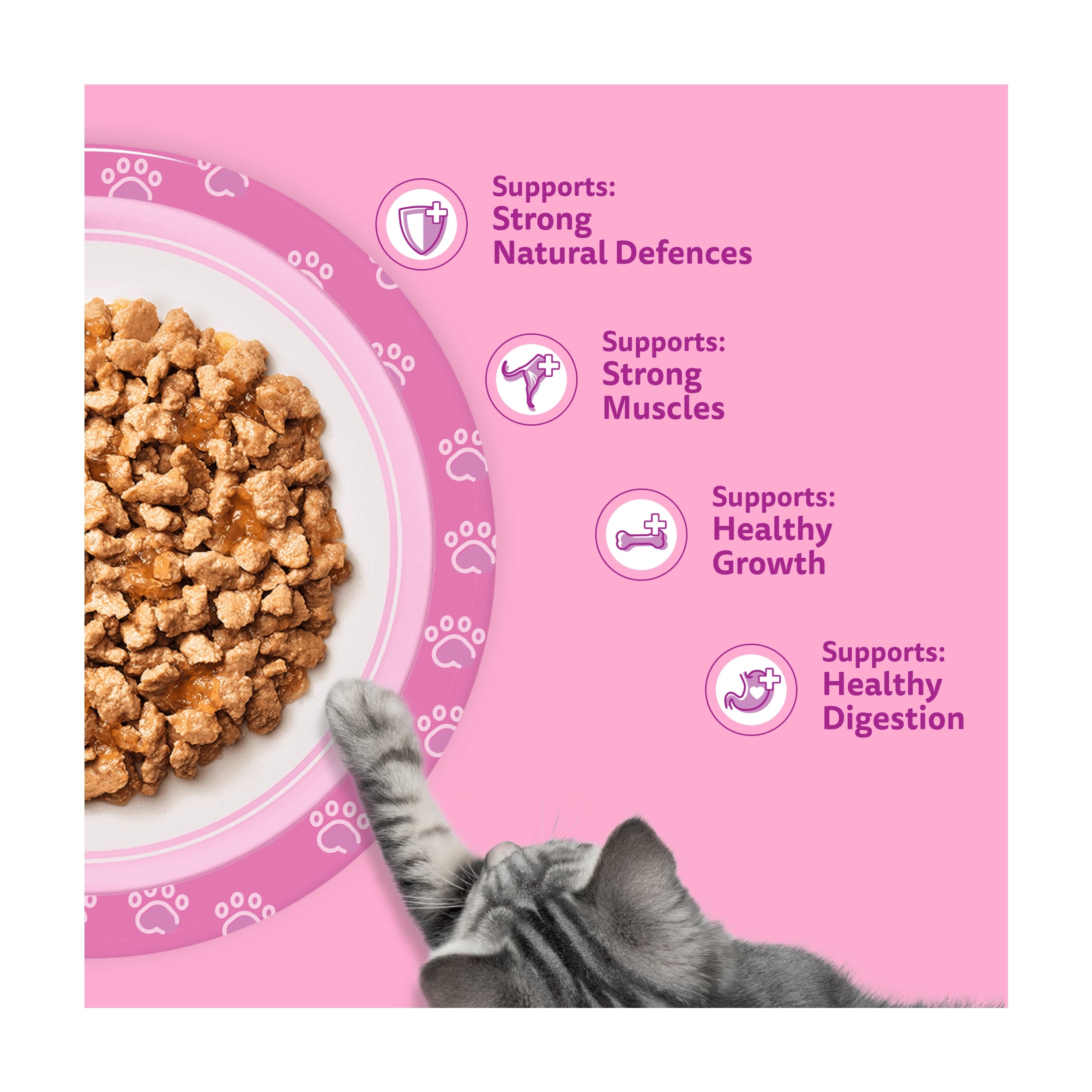 Whiskas Kitten Wet Cat Food Pouches Poultry Feasts in Jelly 40x85g thumbnail 3