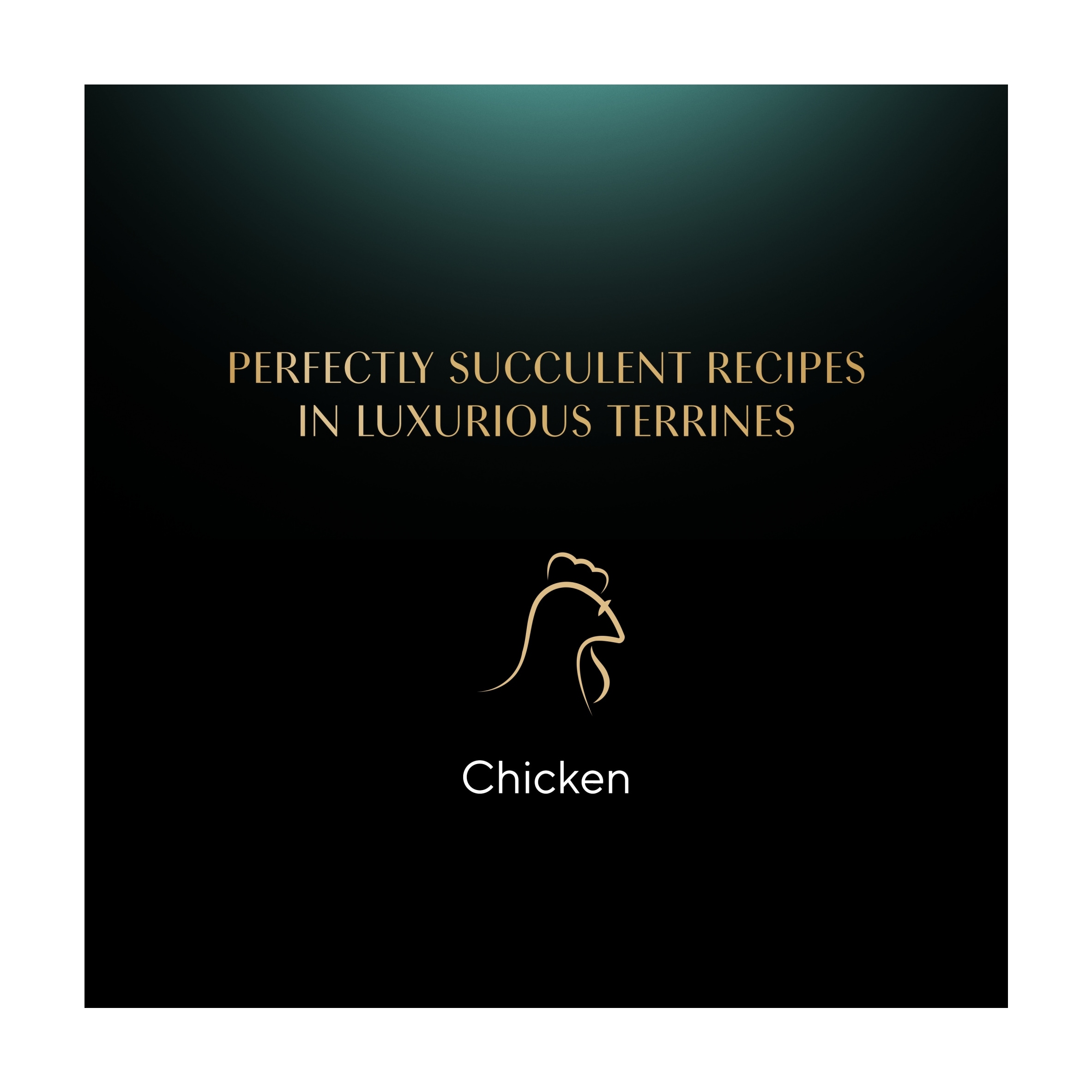 Sheba Classics Wet Cat Food Tray Chicken in Terrine 85g thumbnail 4