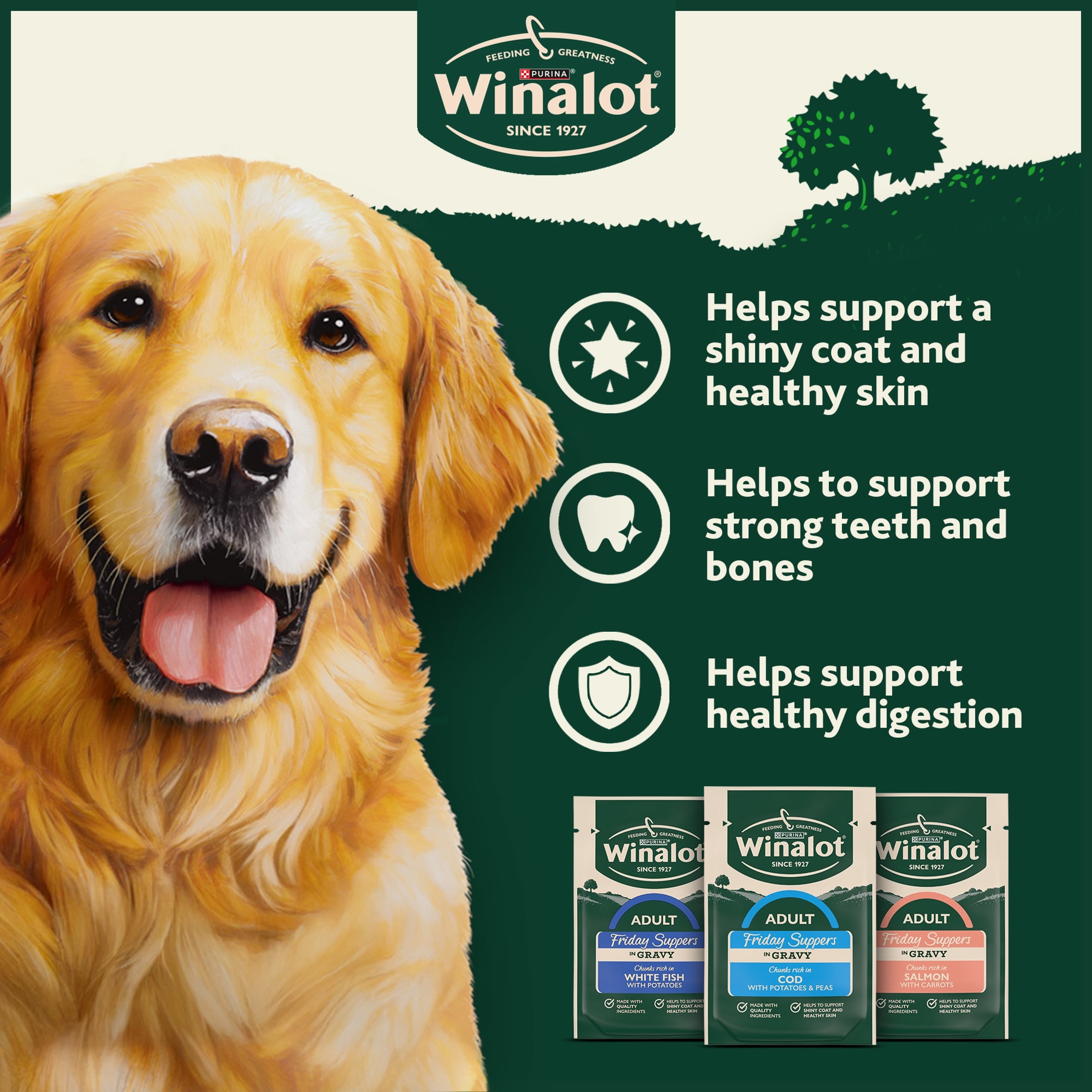 WINALOT Friday Suppers Mixed Variety Fish in Gravy Wet Dog Food 40x100g thumbnail 4
