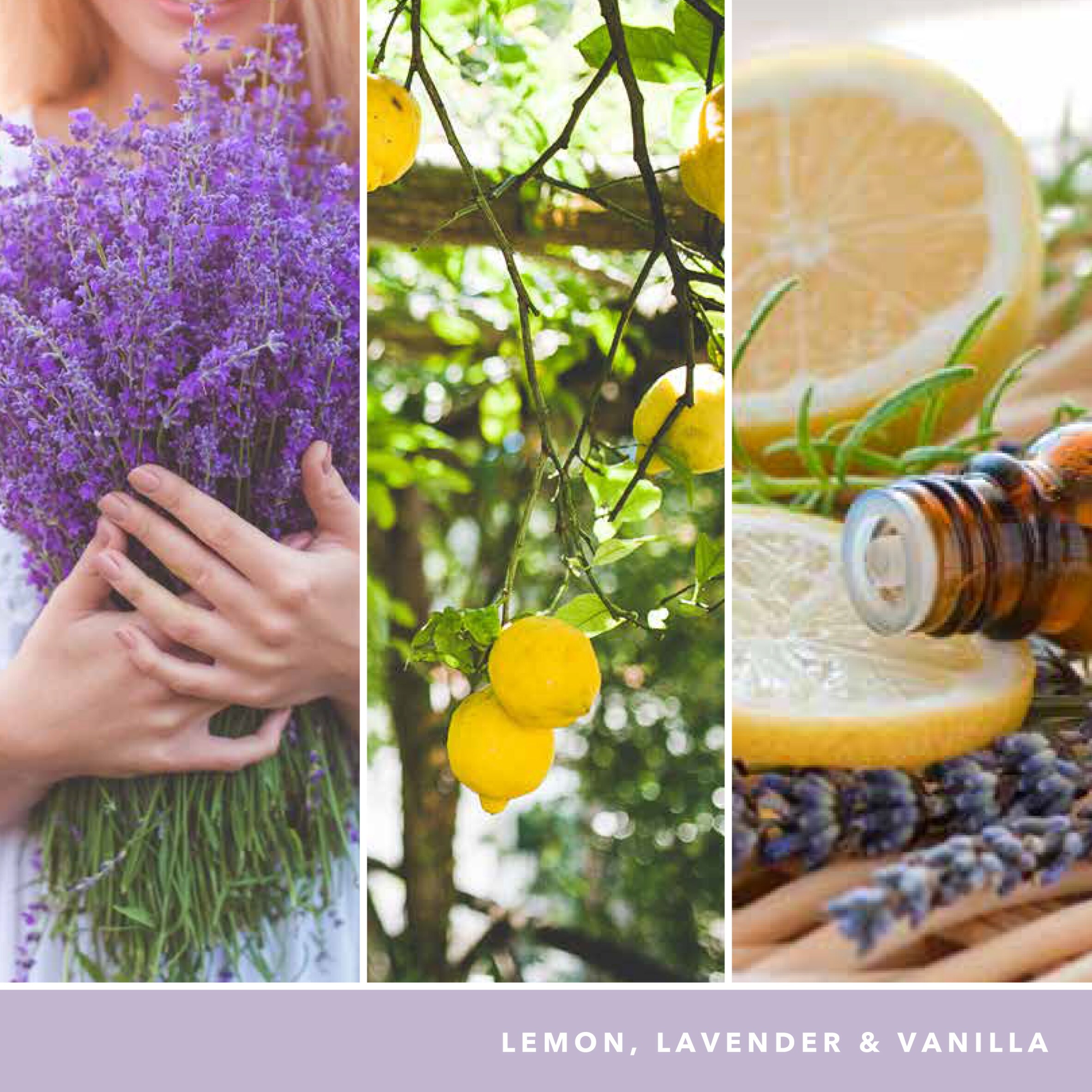 Yankee Candle Signature Lemon Lavender Large Jar 567g thumbnail 3