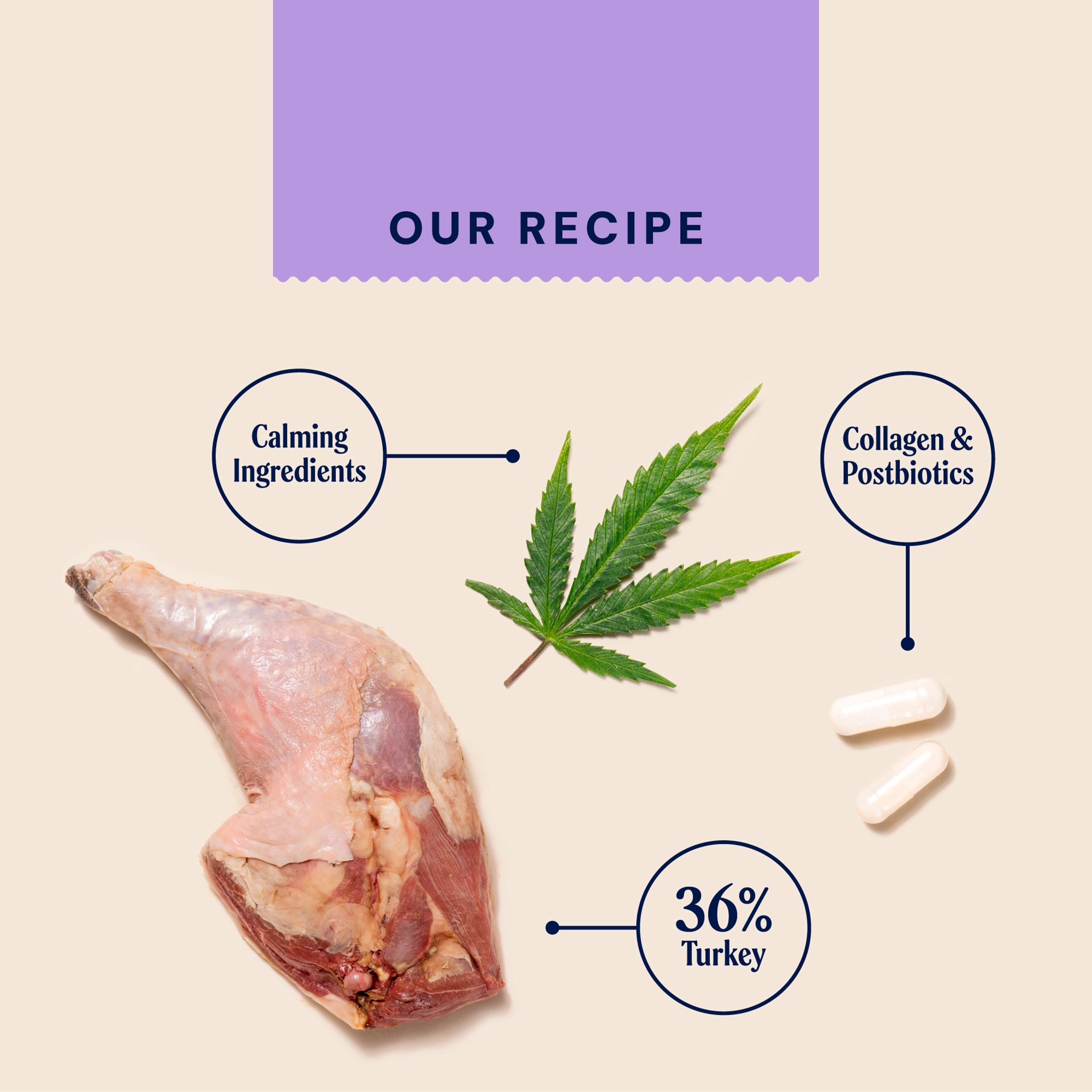 Pooch and Mutt Calming Meaty Dog Treats Turkey and Hemp 120g thumbnail 5